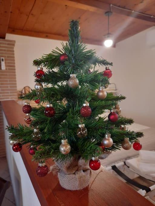 Casa Dantemini Casa Fiera Di Piana Del Solerm Fiumicino Apartment Rome