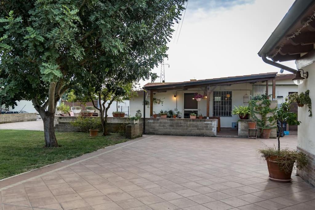 Casa Dantemini Casa Fiera Di Piana Del Solerm Fiumicino