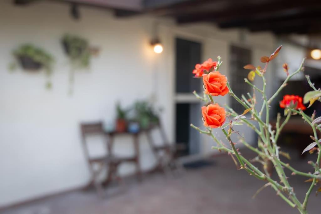 Casa Dantemini Casa Fiera Di Piana Del Solerm Fiumicino * Rome