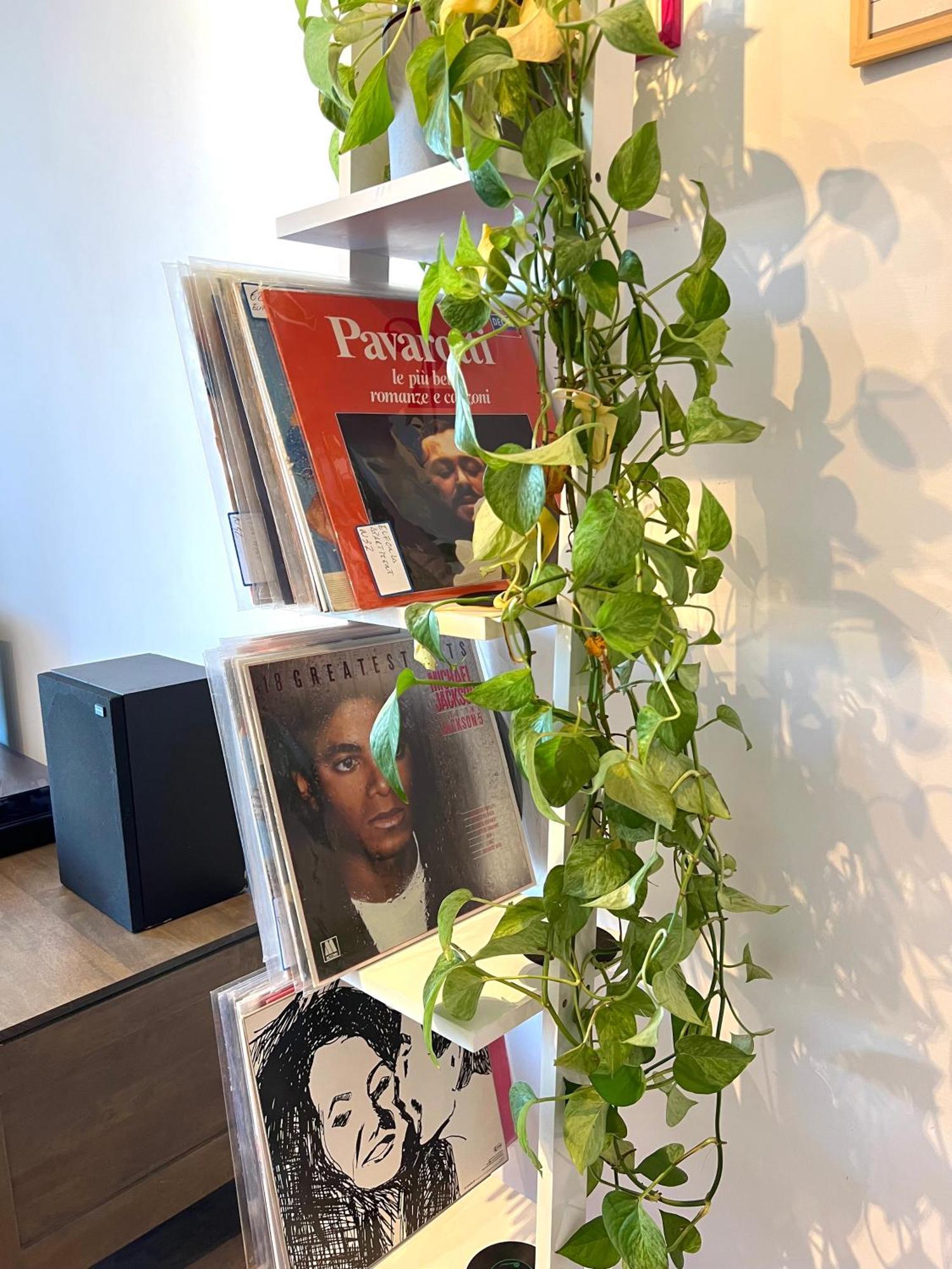Eufonia Vinyl Friendly Appartamento Roma