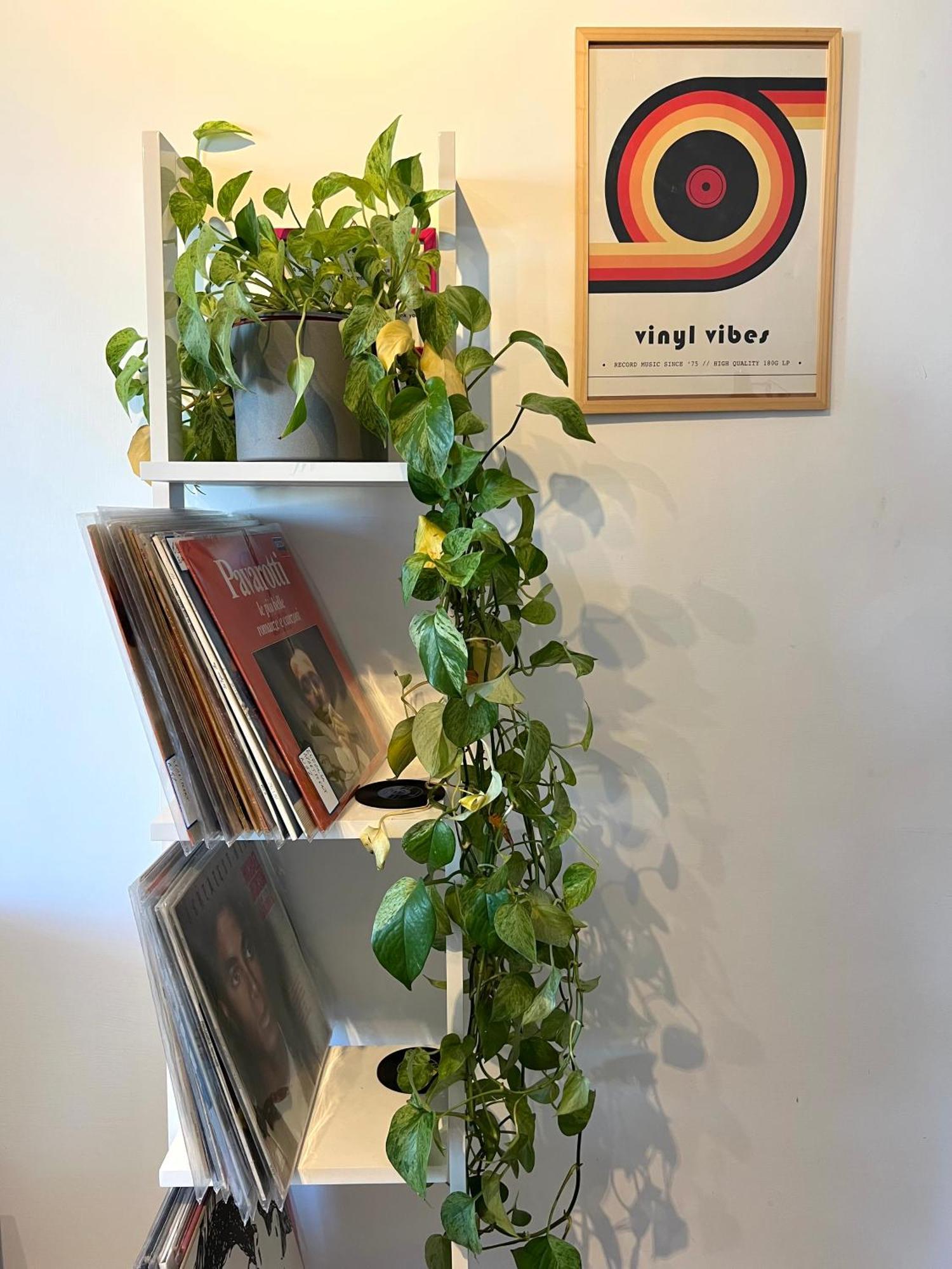 Appartamento Eufonia Vinyl Friendly Roma