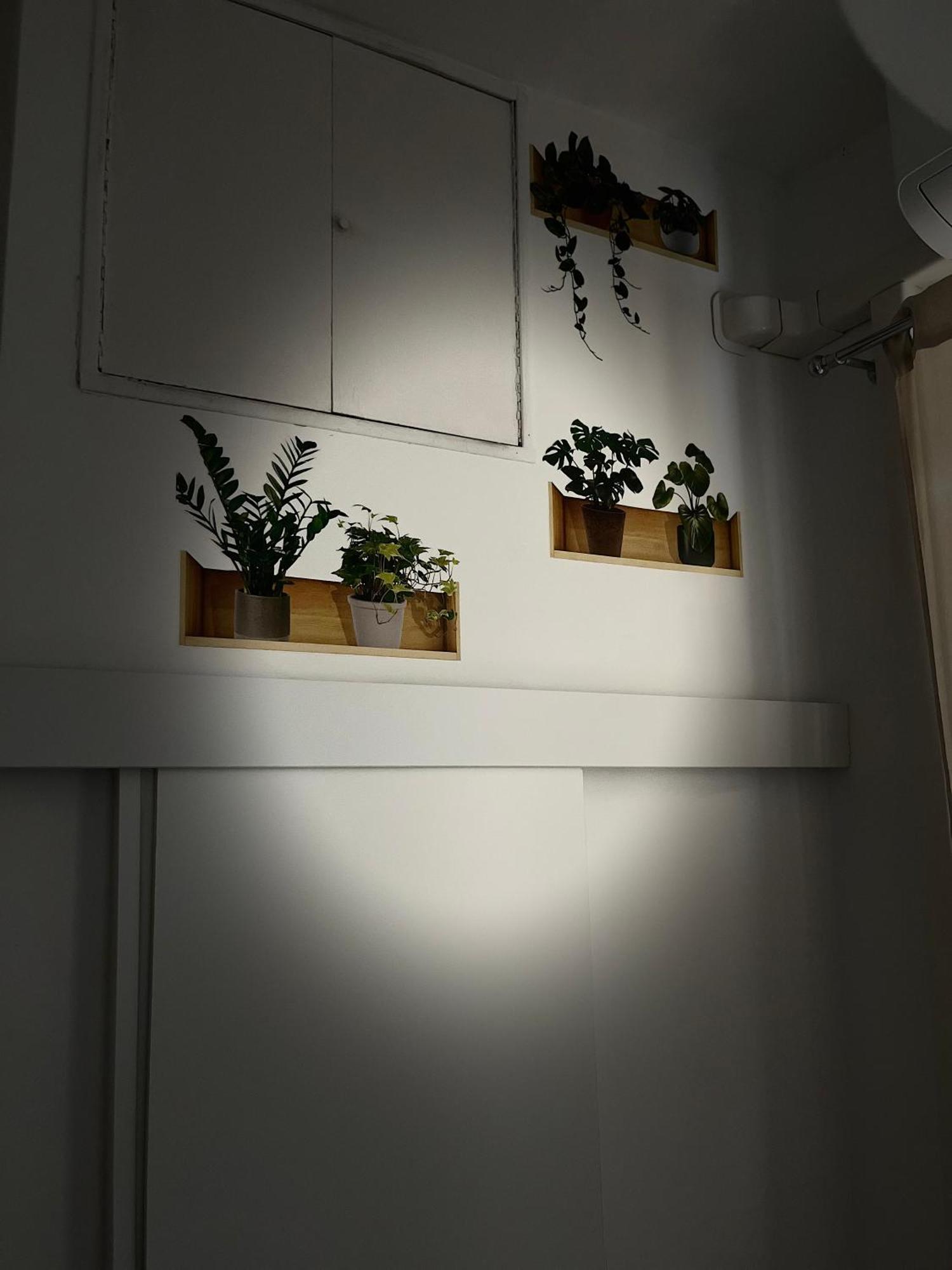 Appia Apartment