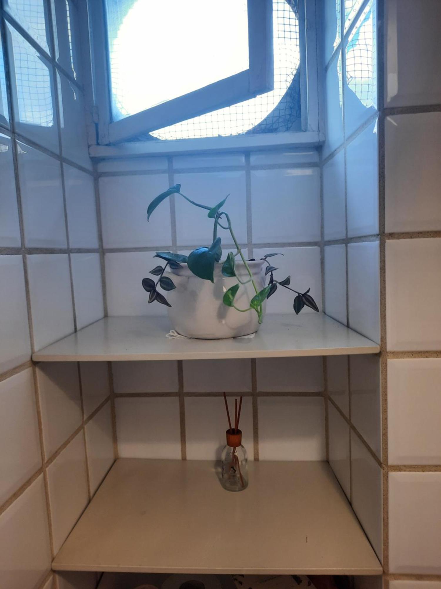 Casa Mia All'appio Latino Apartment Rome