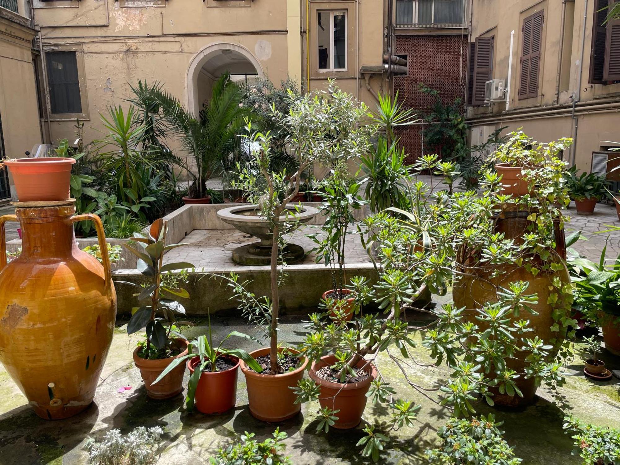 Guest house Sweet Vatican *