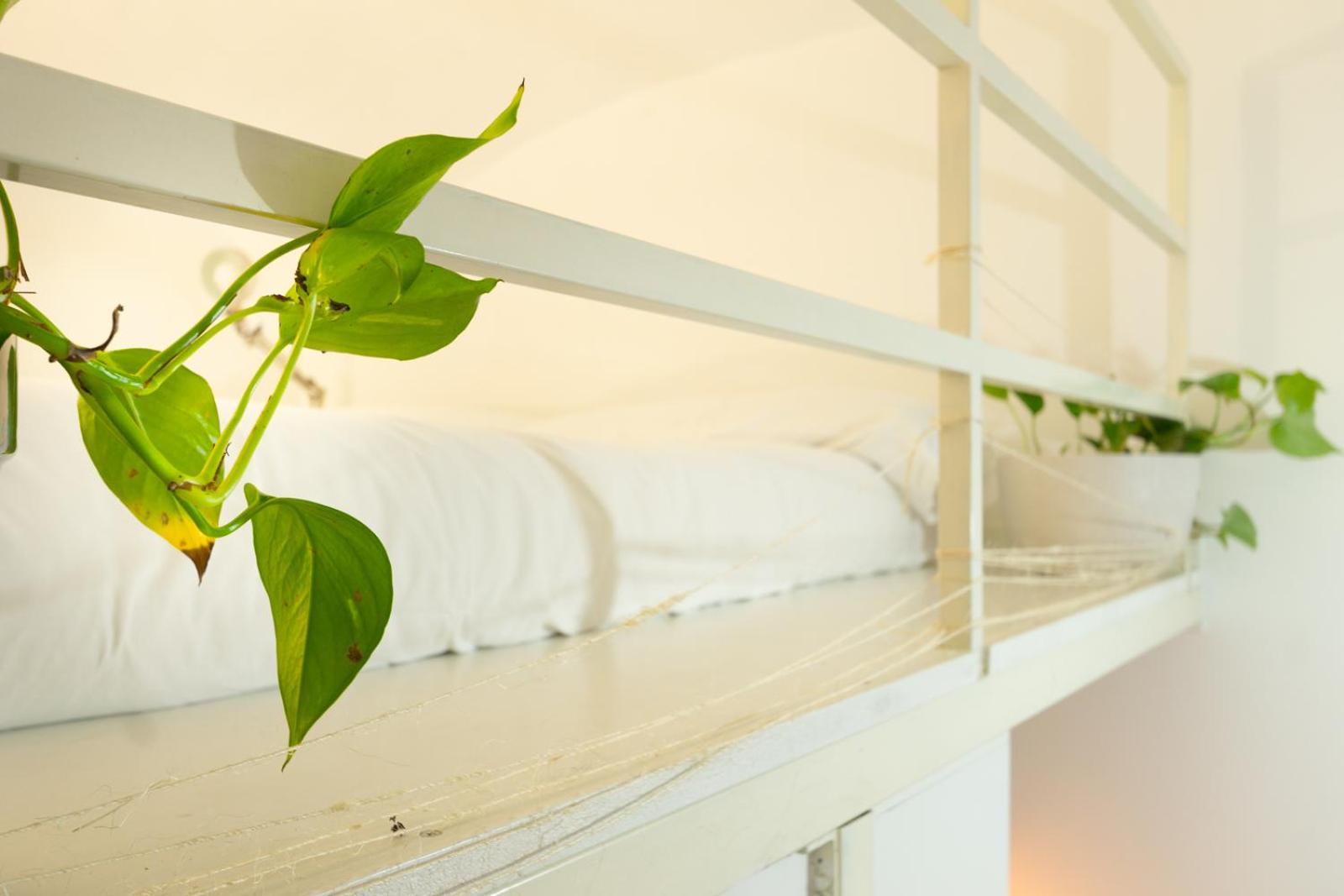 Appartamento Cozy Saint John *