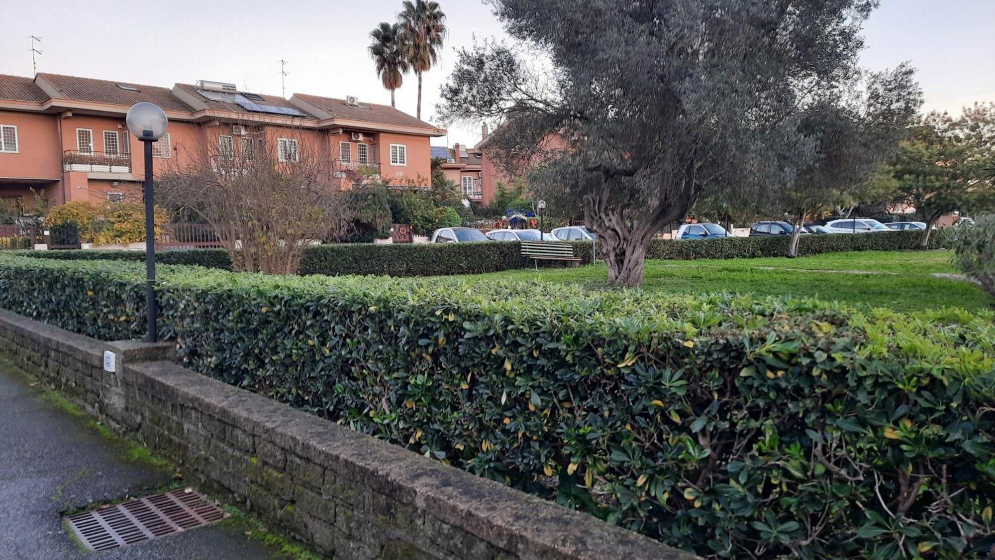 La Mattina - Fiera Di - Aeroporto Fiumicino Rome