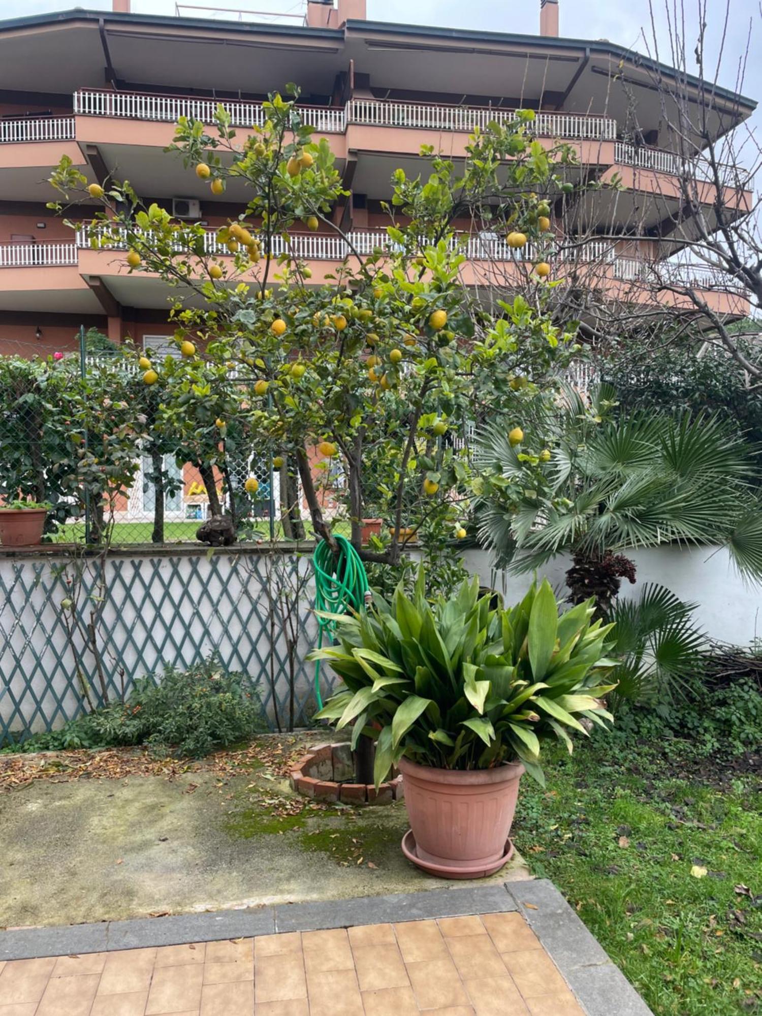 Appartamento Rome Villa *