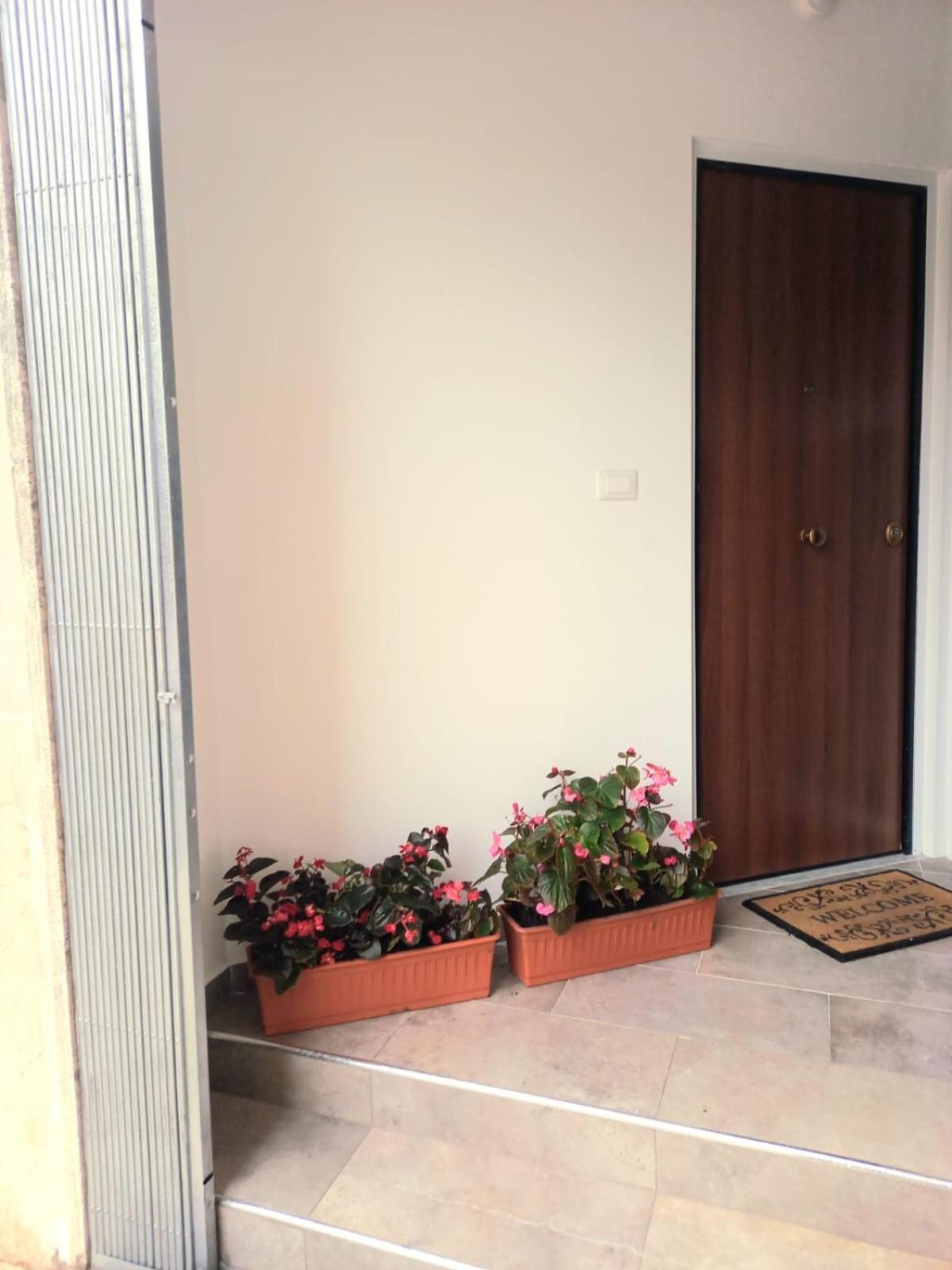 Casa Delle Begonie Appartamento Roma