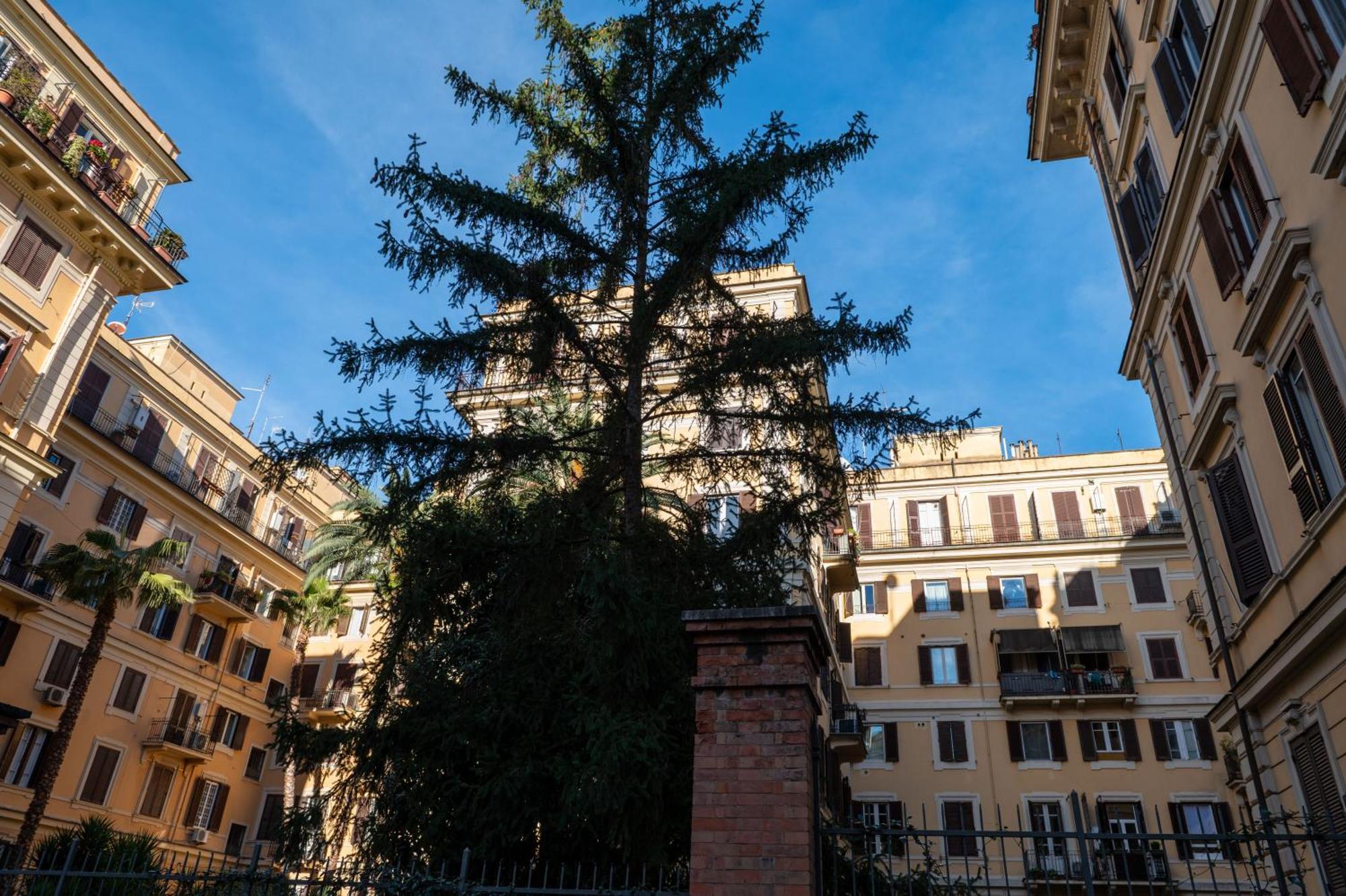 Apartment Borghese Design *