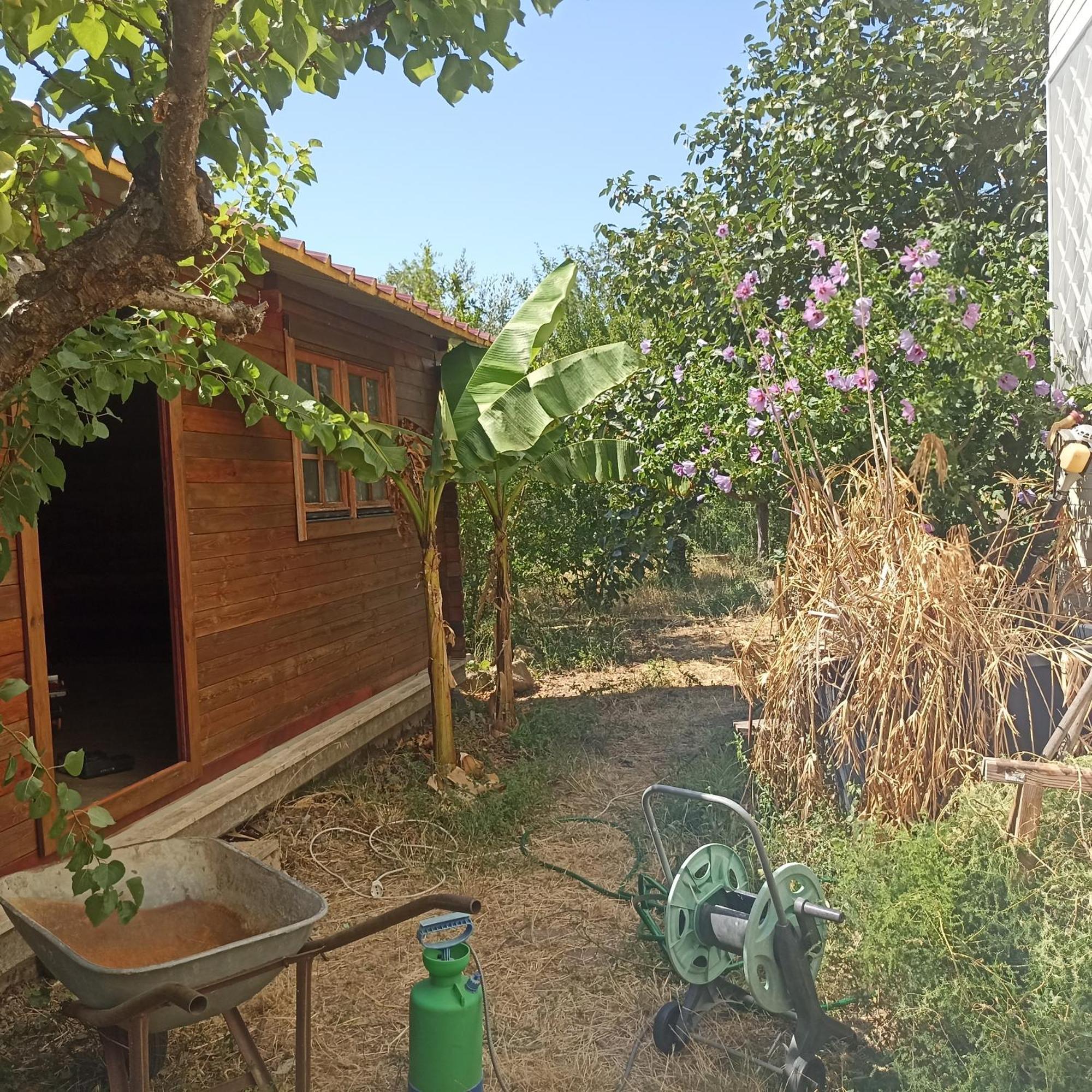 Ripe'S Forest Garden Guest House Guest house