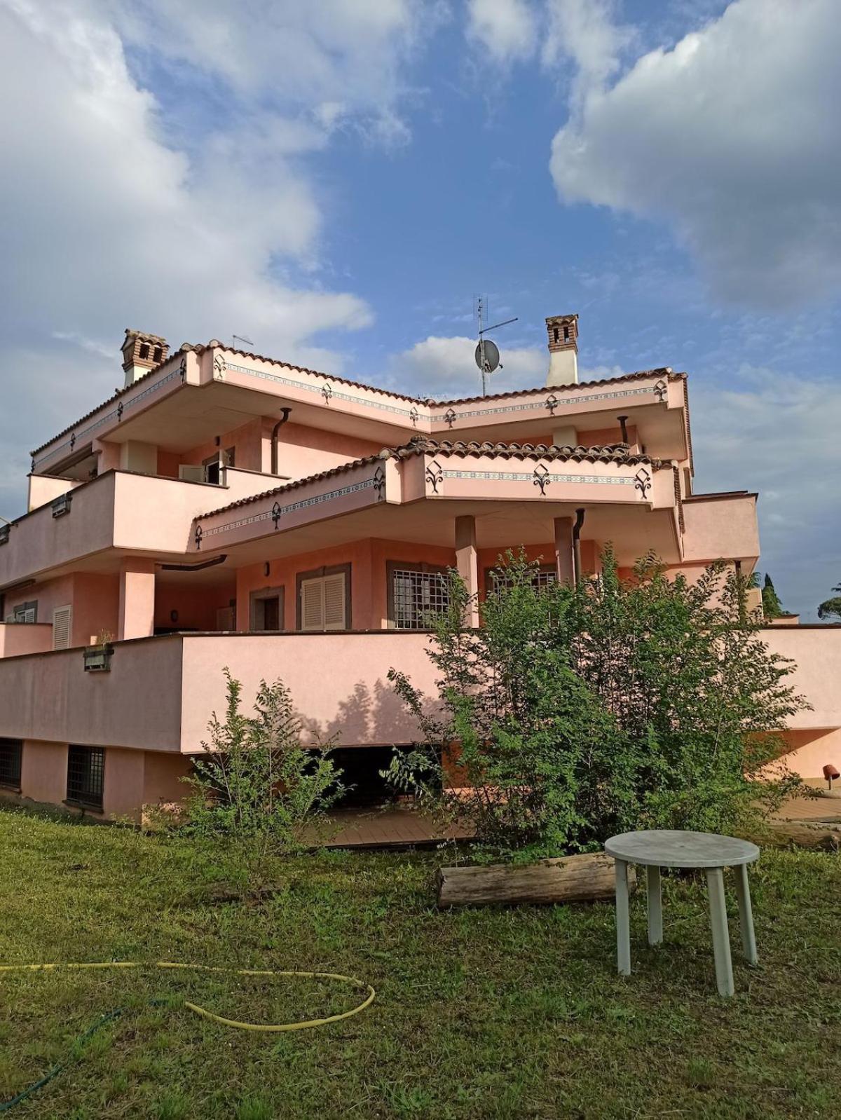 Oasi
