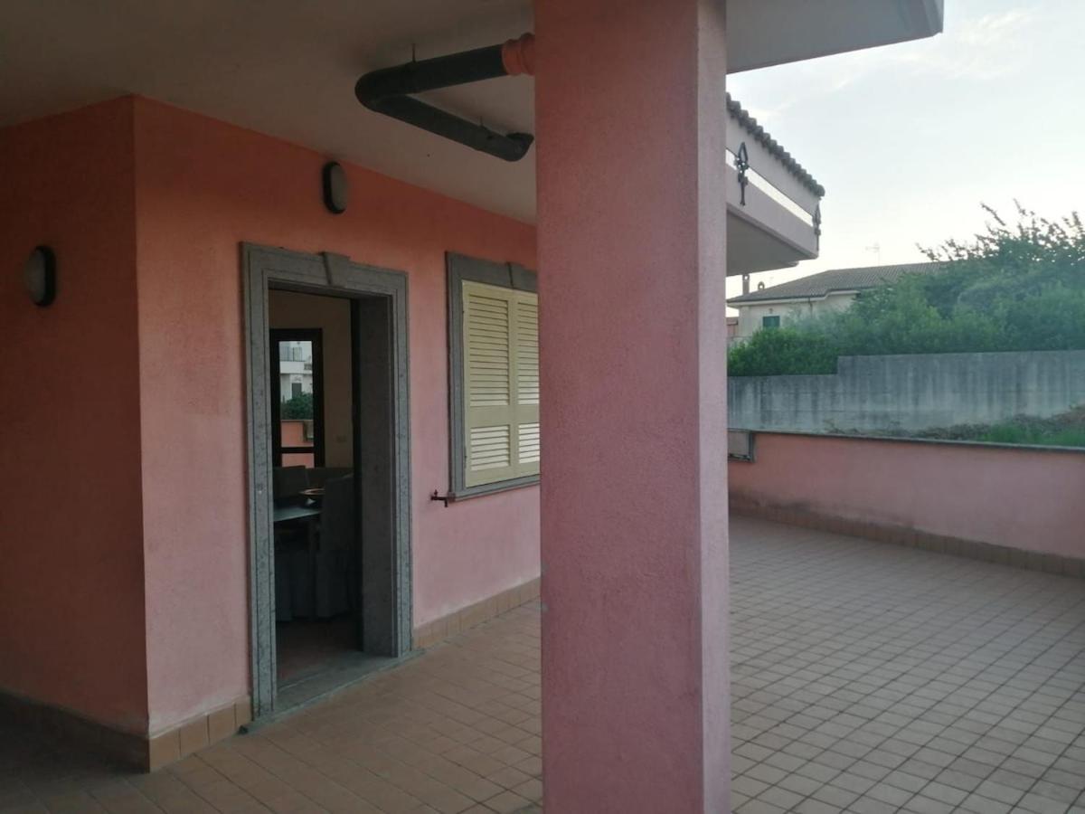 Oasi