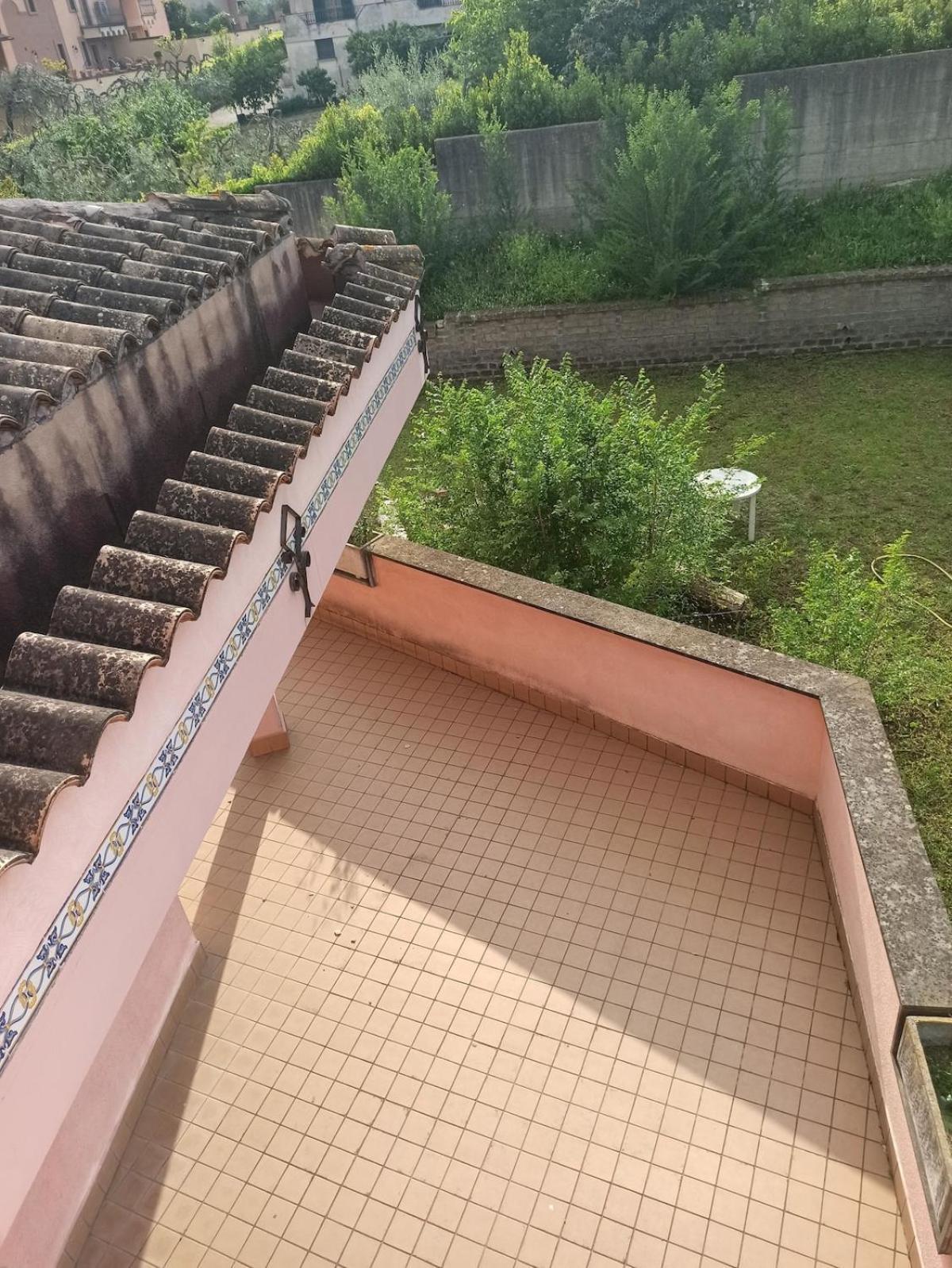 Oasi