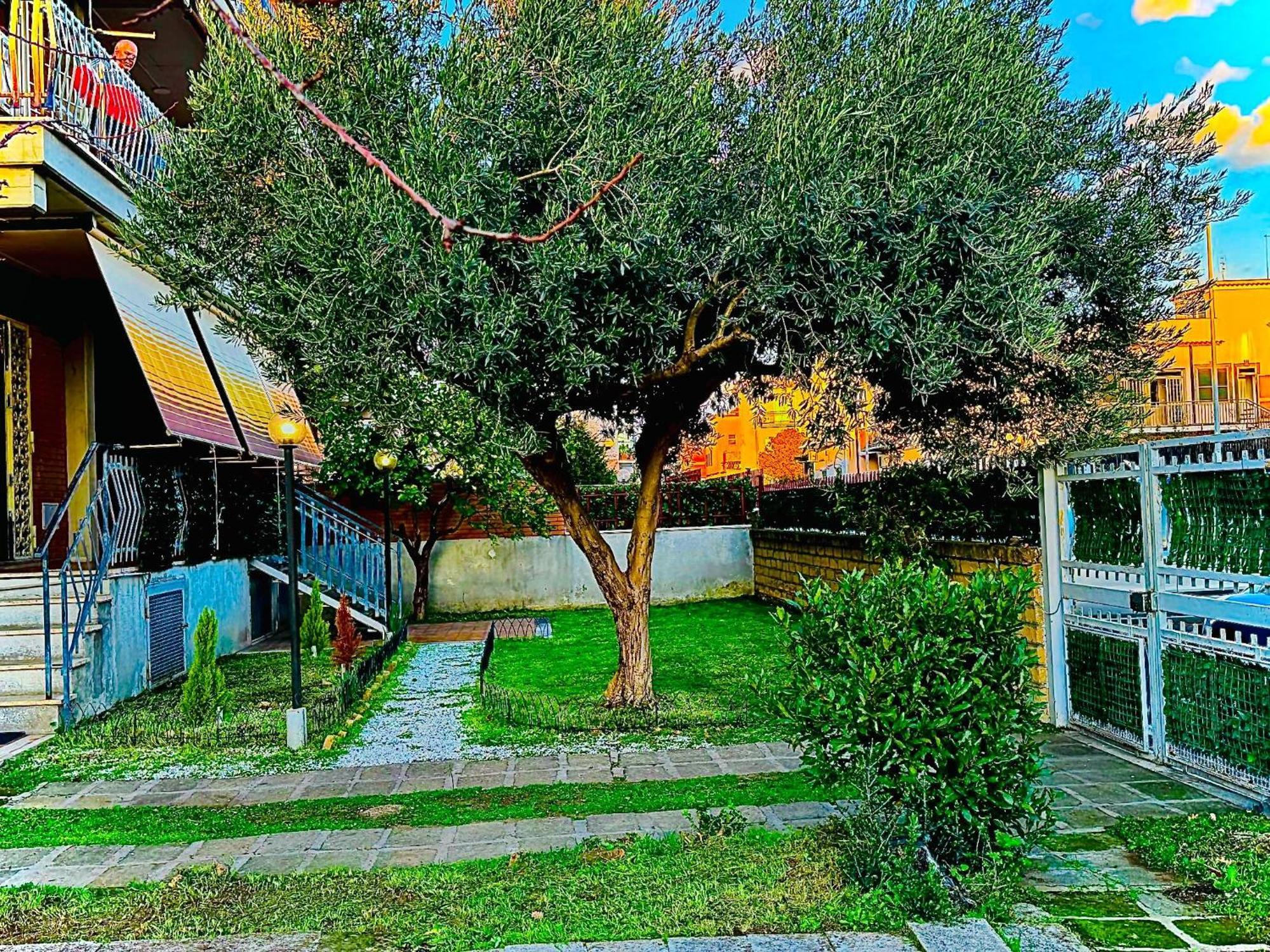 Bed & Breakfast Edemma Rome