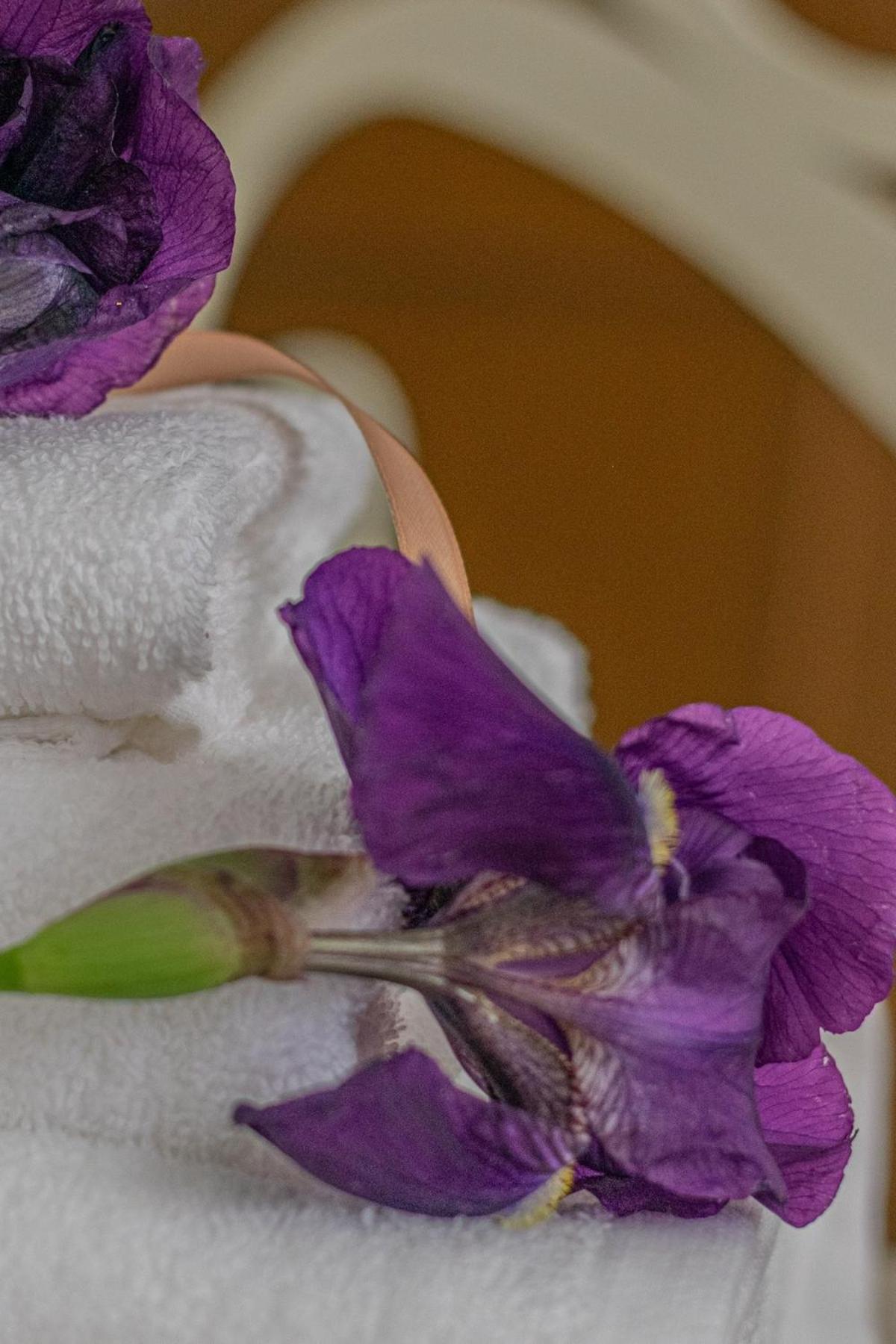 Holiday home Relax San Giovanni Rome