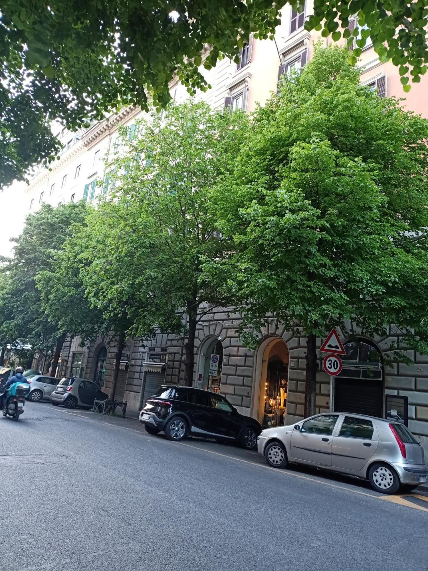 Appartamento Luxury Roma