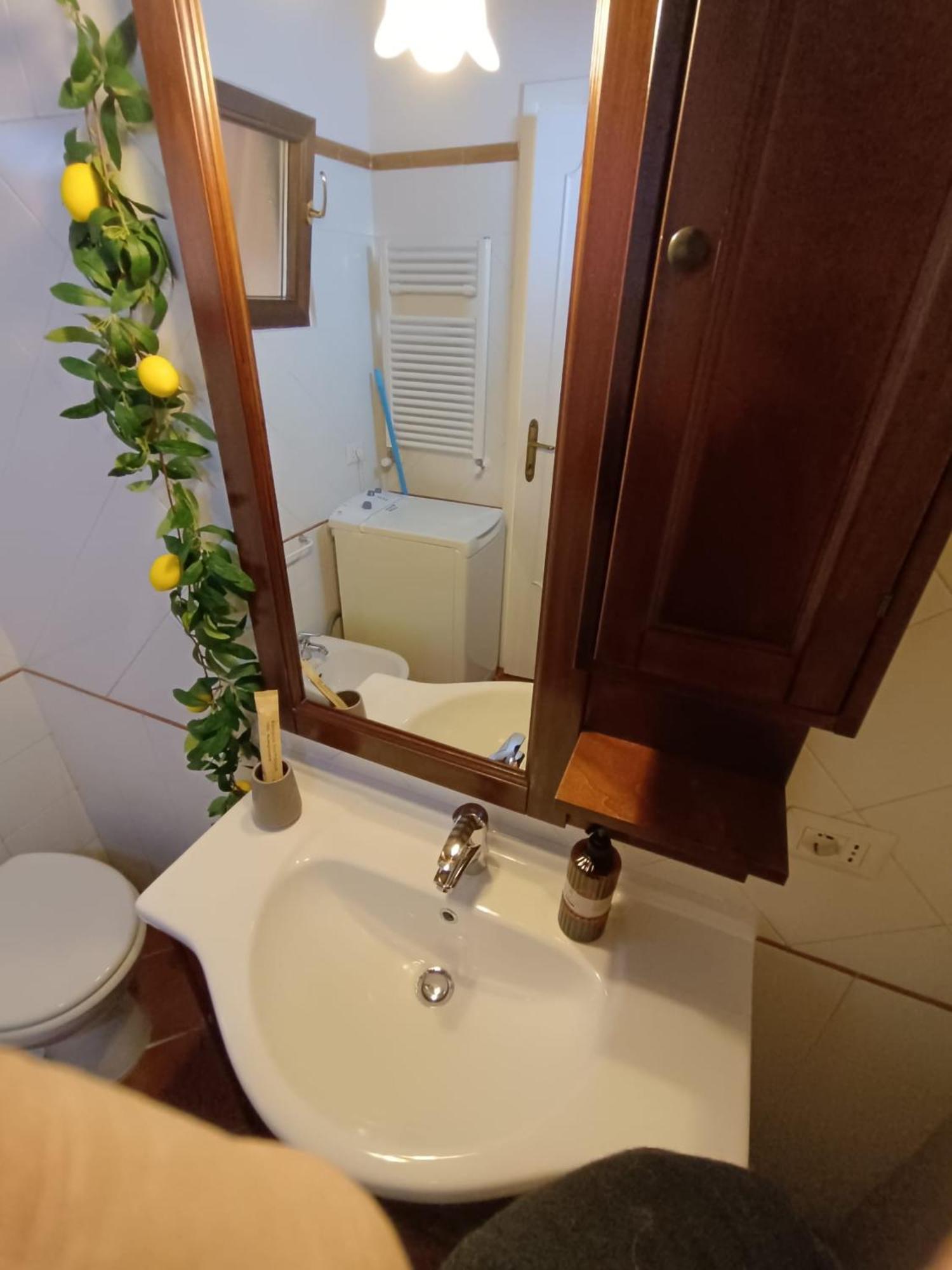 Casetta Il Limone - Trionfale Apartment Rome