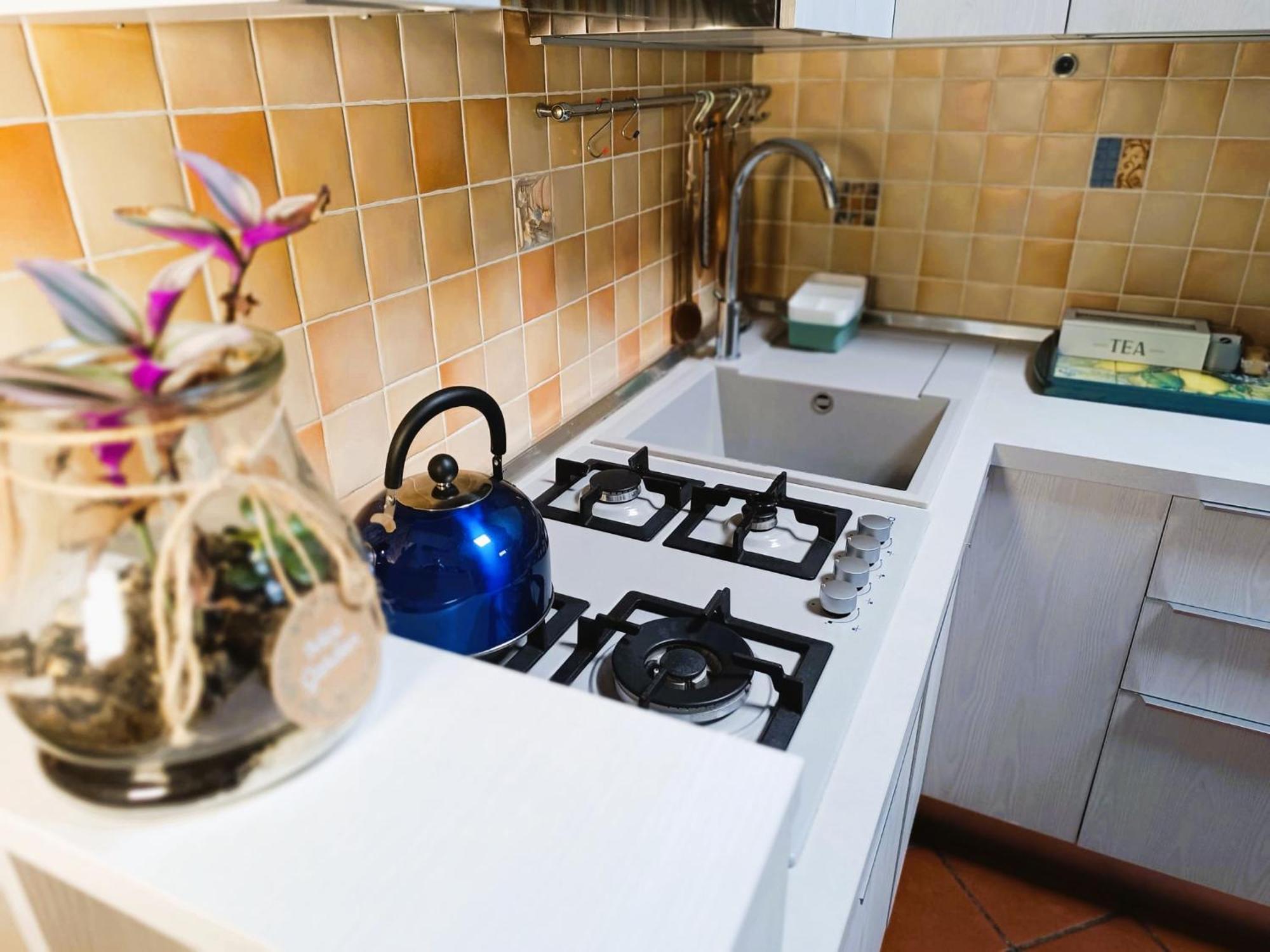 Casetta Il Limone - Trionfale Apartment Rome
