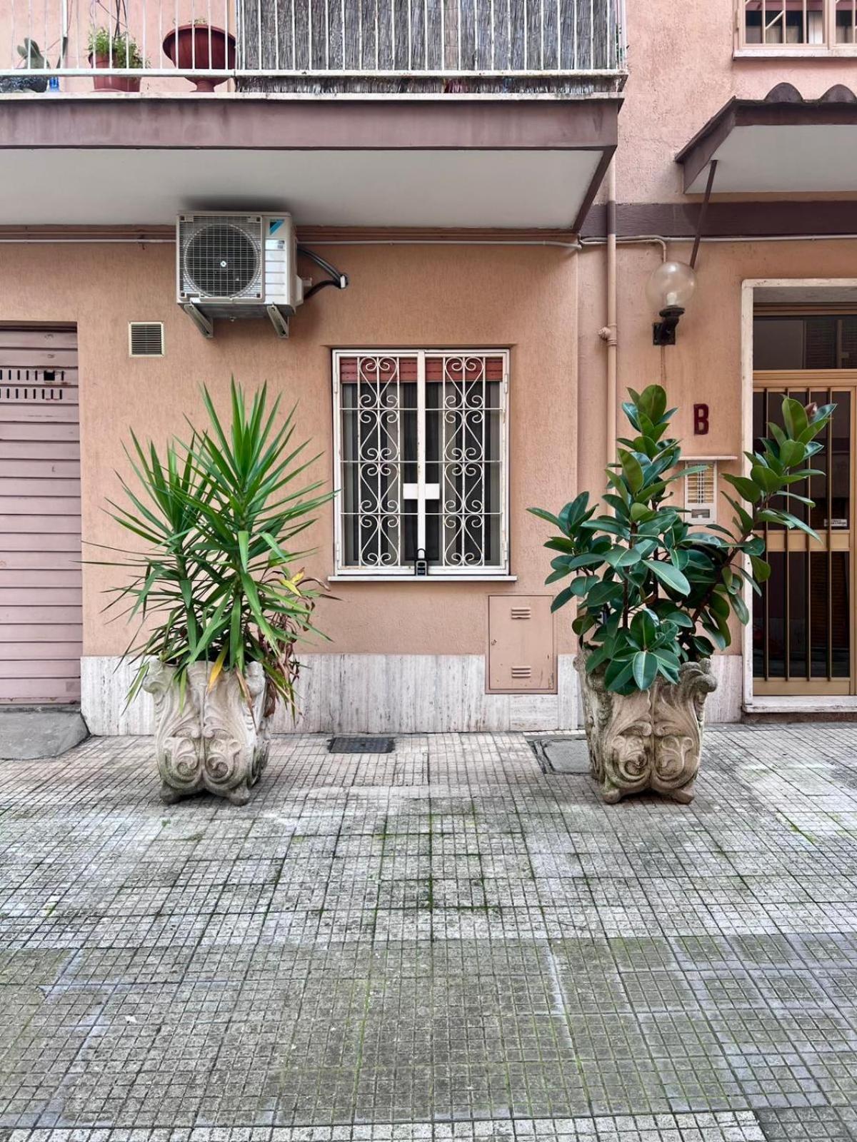 Urban House Monteverde *