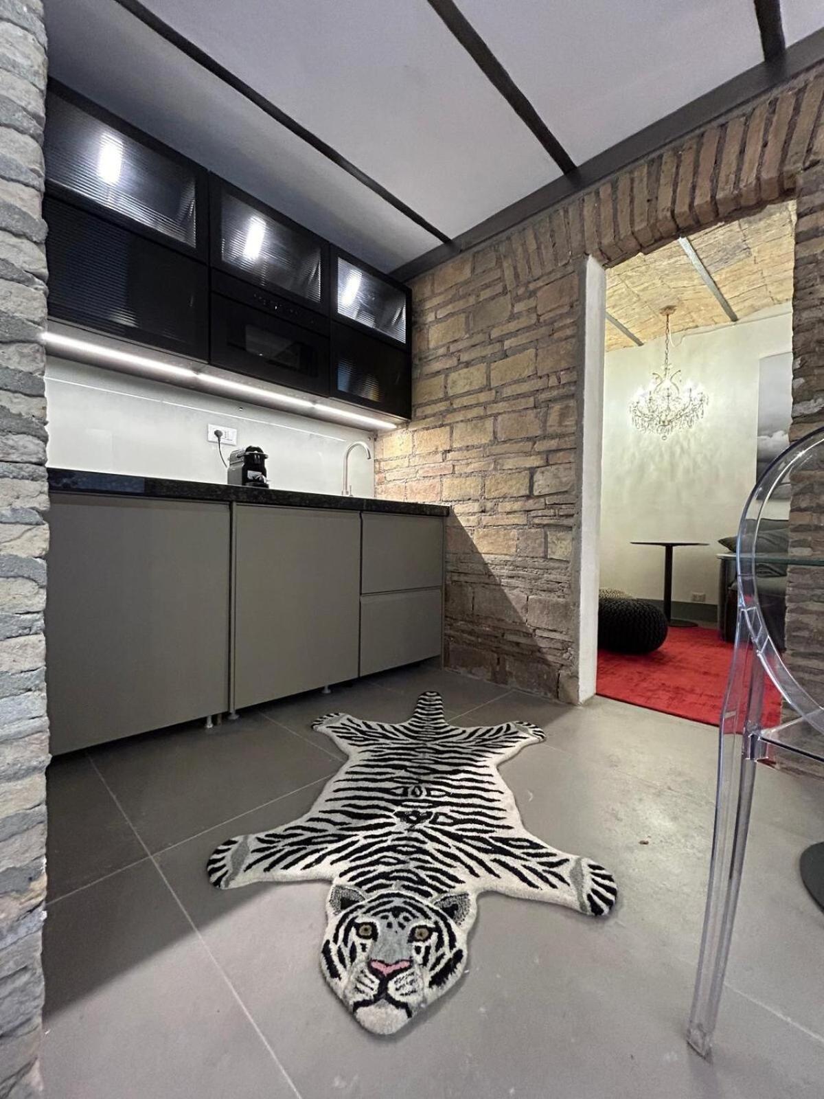 Colosseum Loft Apartment Rome