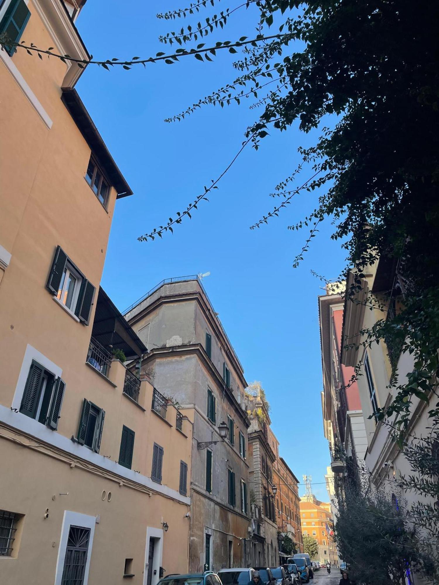 Flatinrome Trastevere Complex