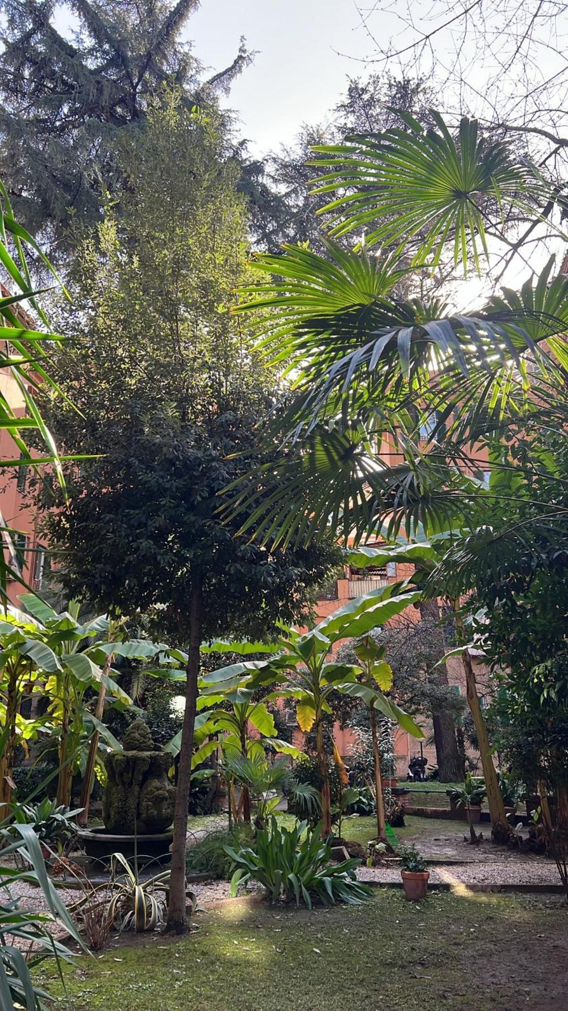Enjoy Vatican In Apartment Rome