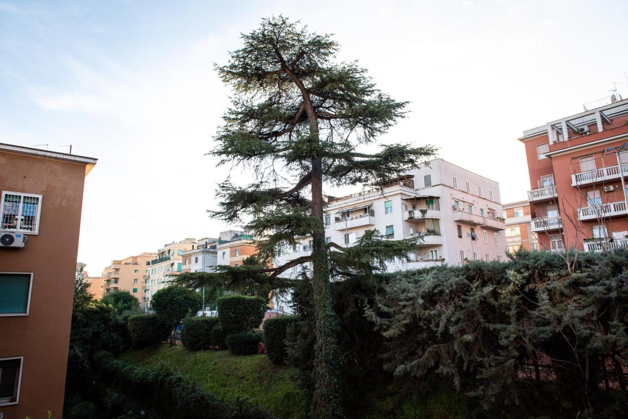Apartment Casa Di Oscar