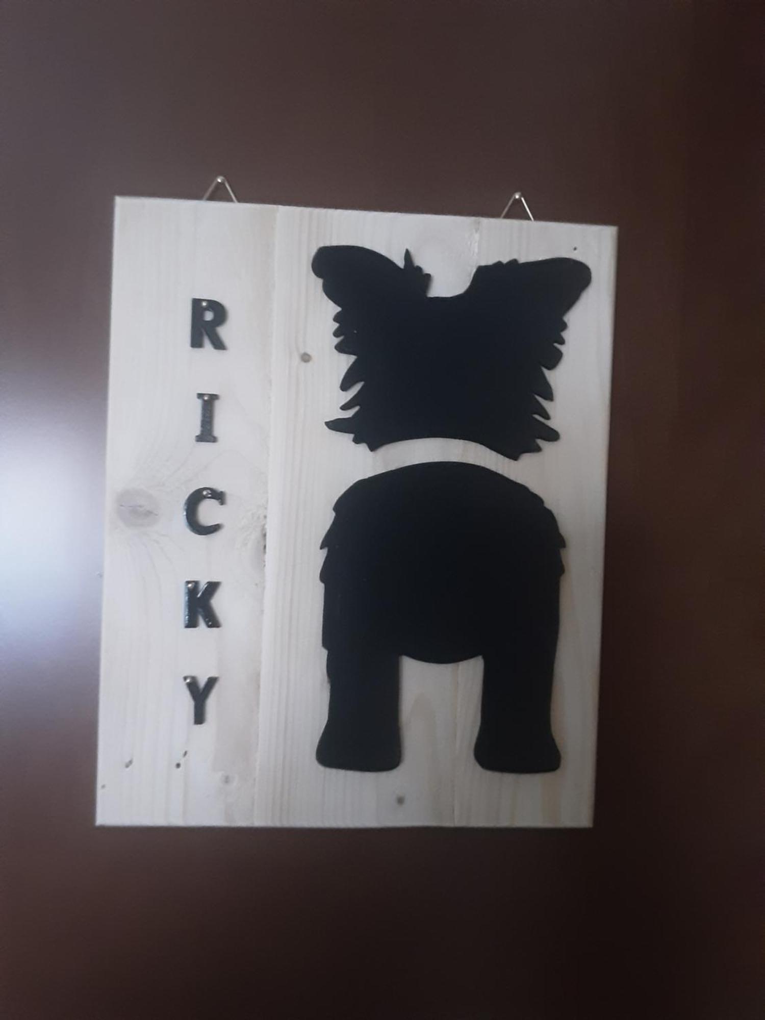 Il Viaggio Homestay Rome