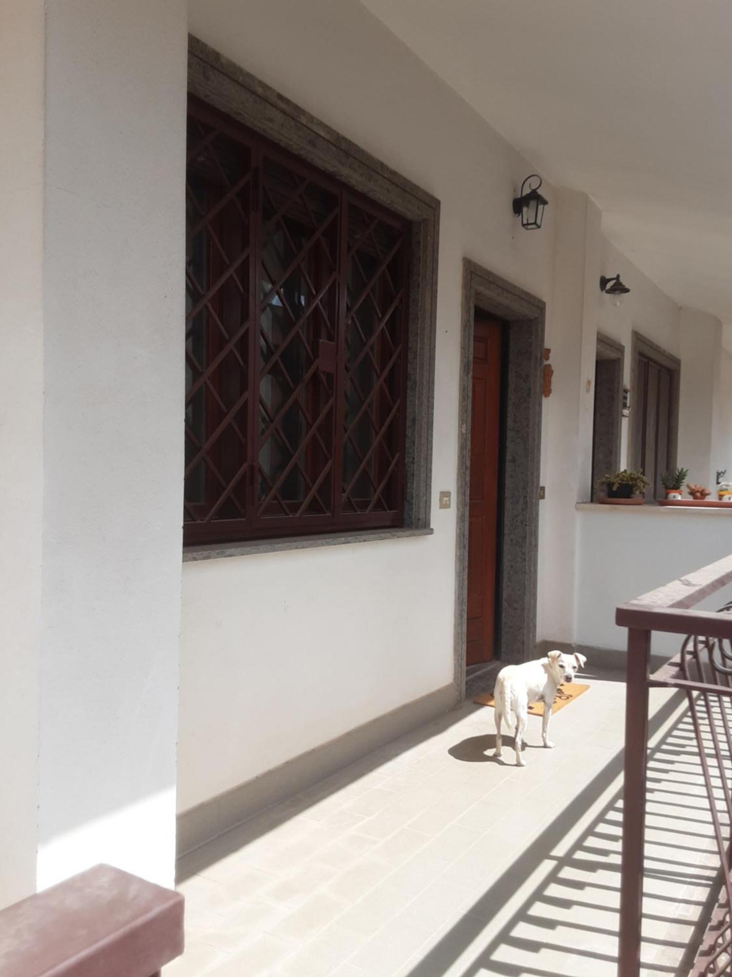 Il Viaggio Homestay *