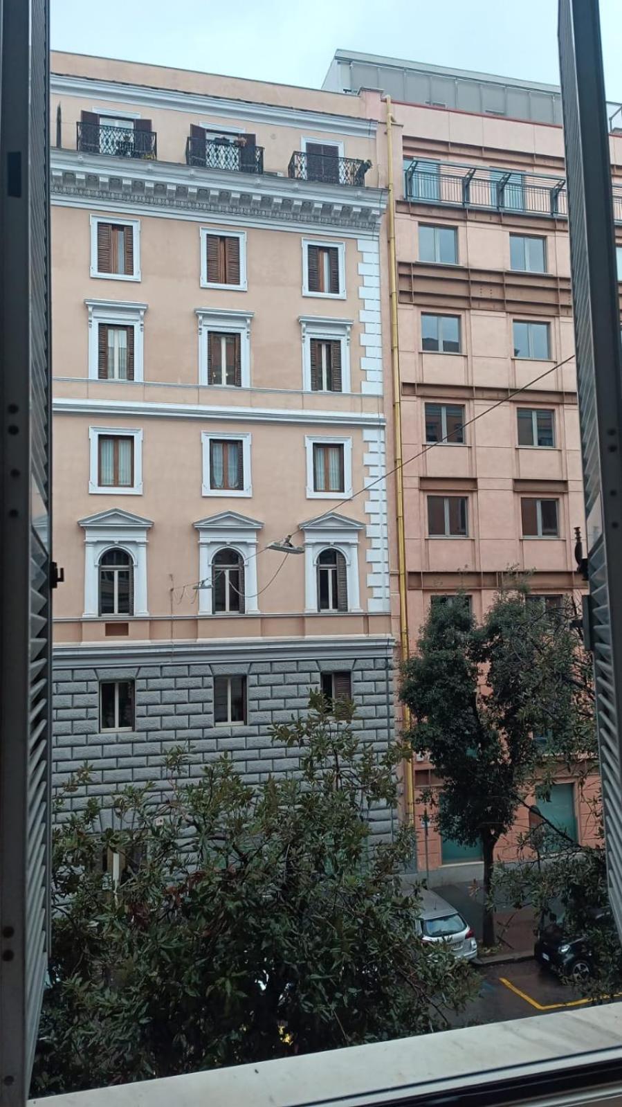 Domus Conte *