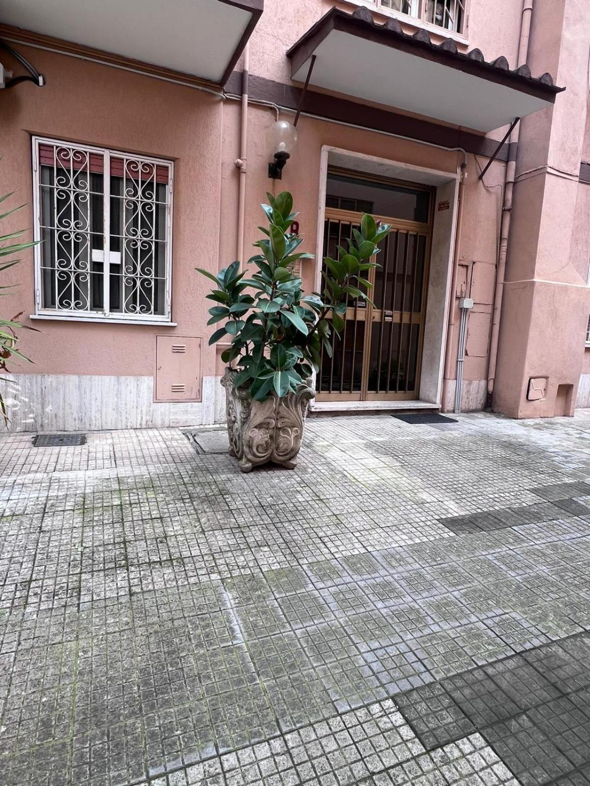 Urban House Monteverde *