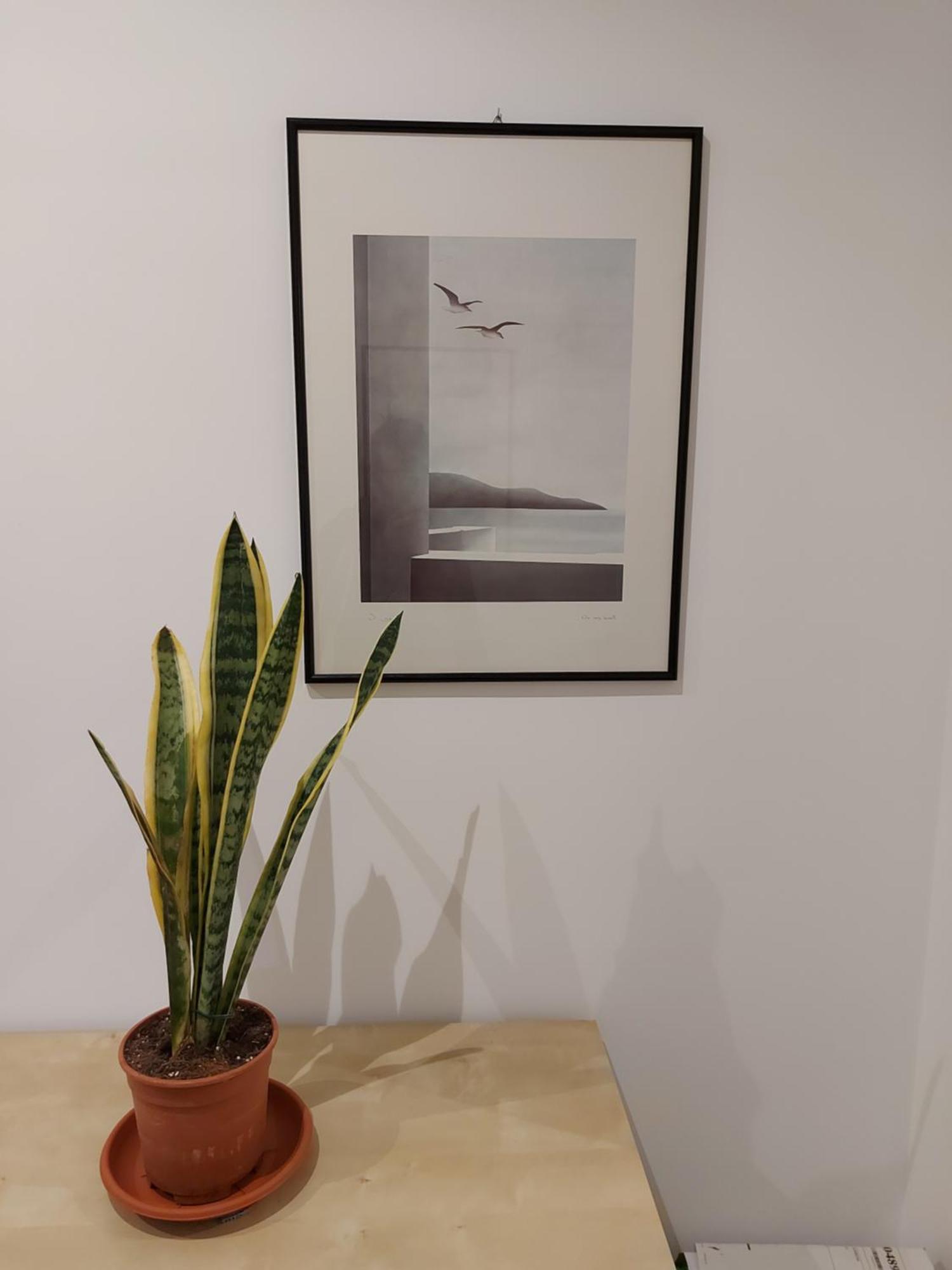 Apartment Da Ale House Rome