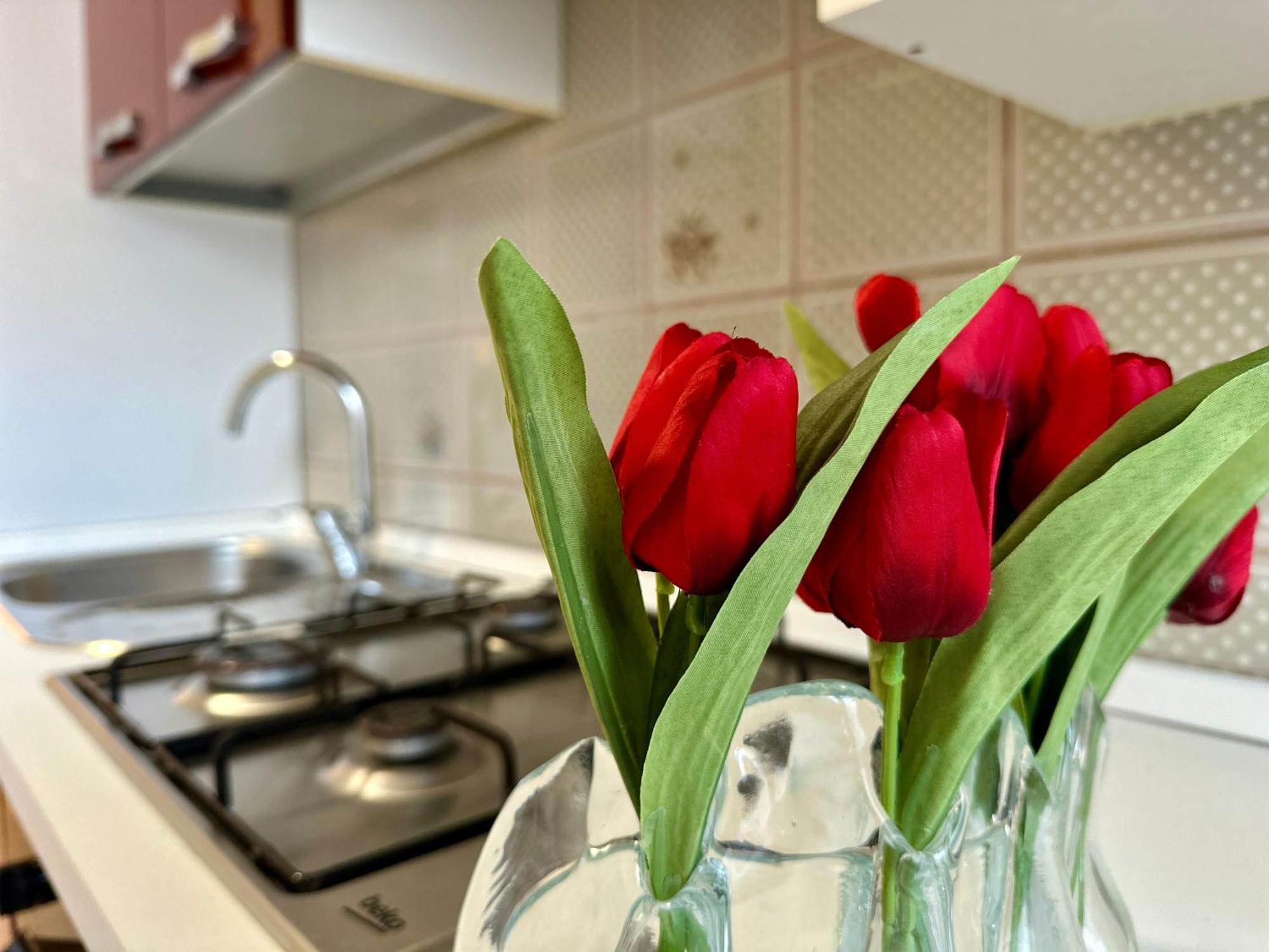 Holiday home Appia House Rome