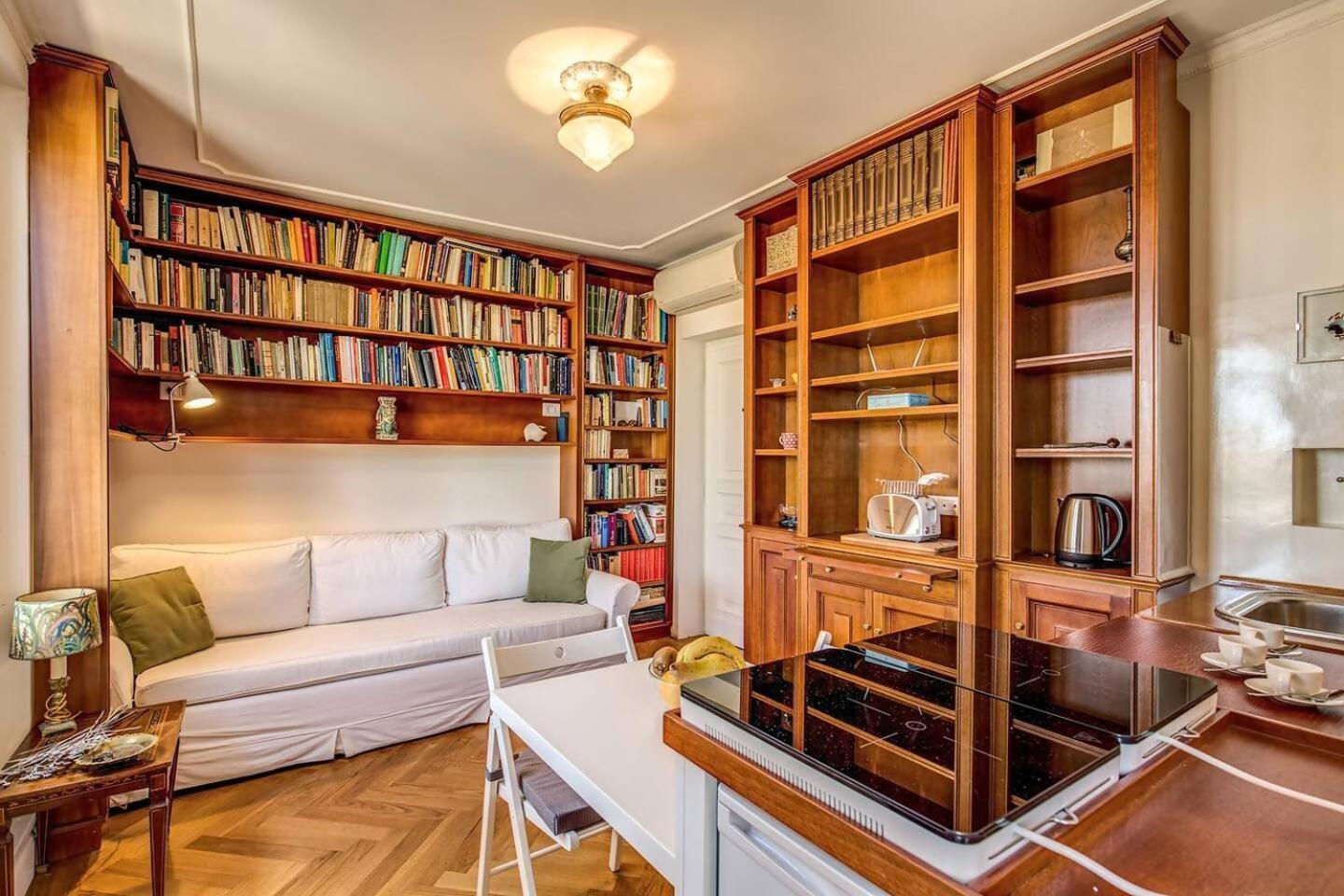 Attic With Terrace Overlooking St Peters Basilica Apartment