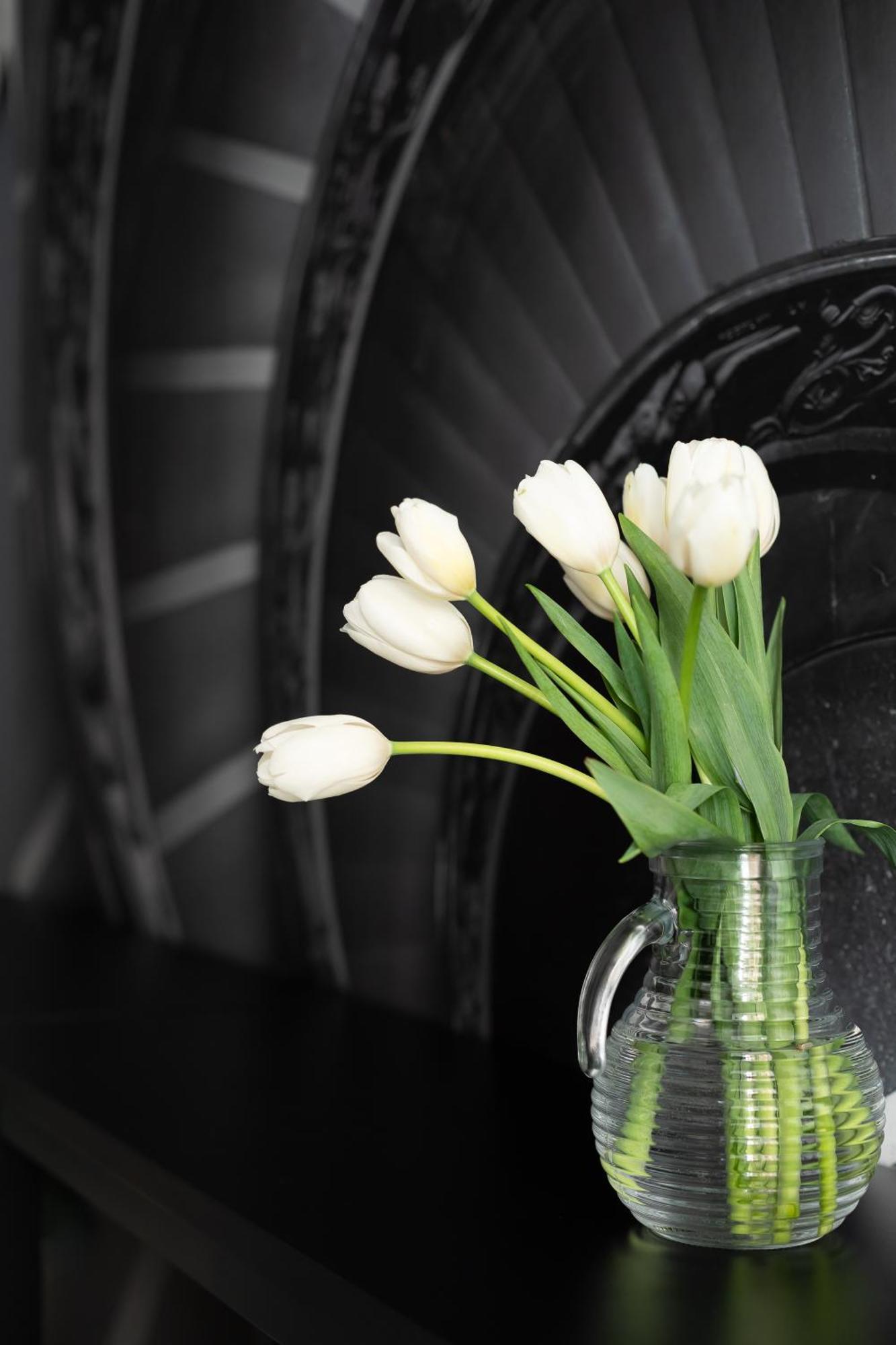 Iflat New Spacious & Classy In Monti Apartment Rome