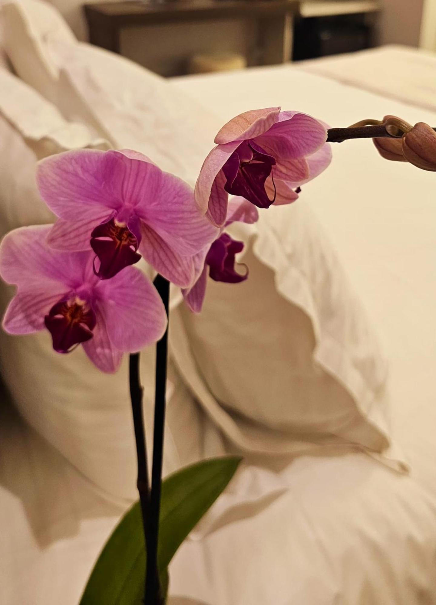 Stoa Boutique Hotel *