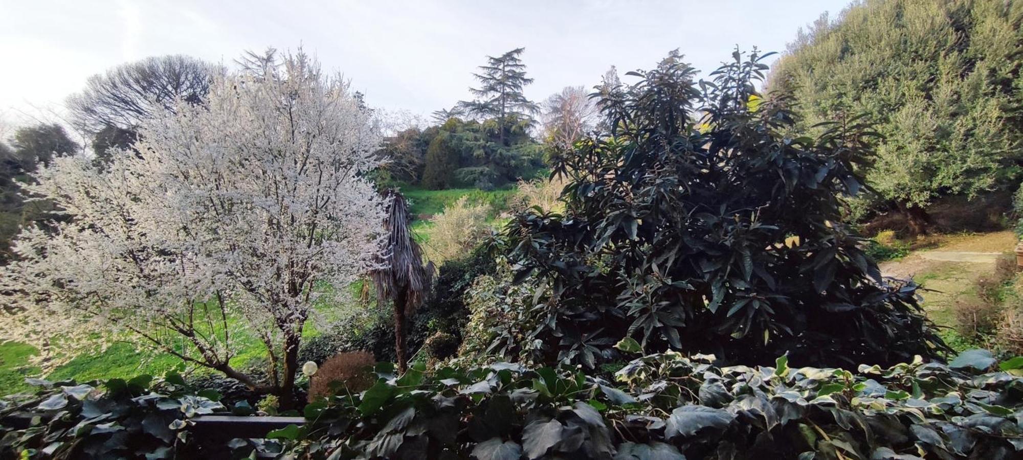Apartment Aurelia 1100 Near Vaticano Up To 6 Guests Rome