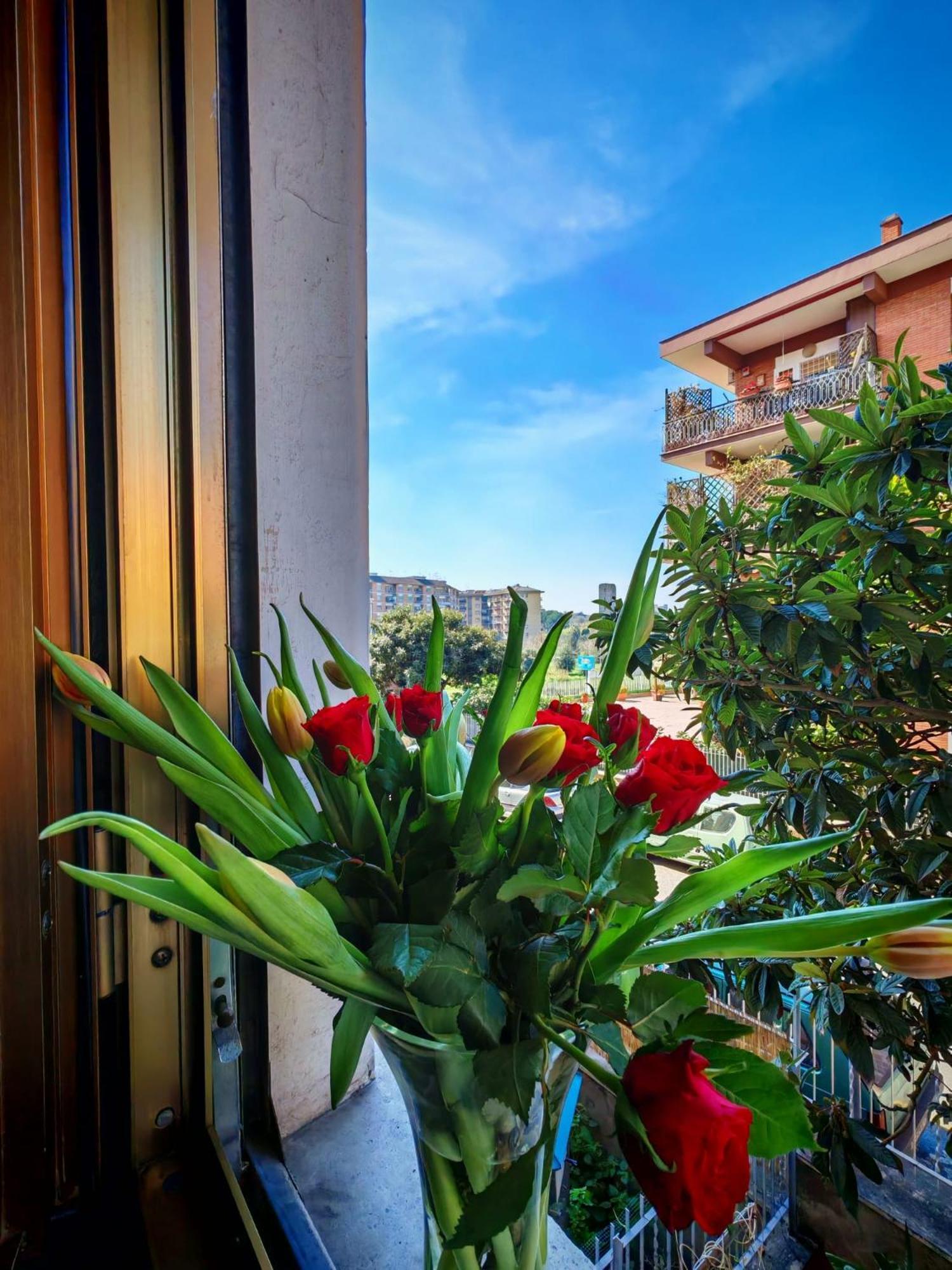 Apartment Casa Con Idromassaggio Metro C Alessandrino - San Giovanni E Trenino Laziali-termini -betti House