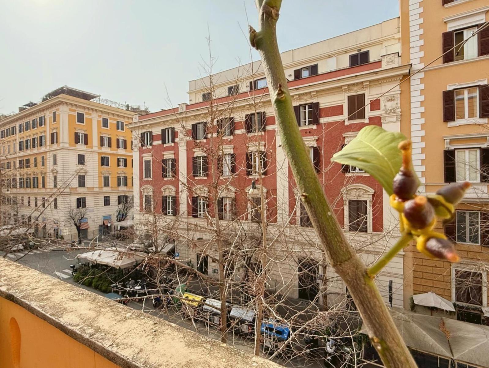 Guest house Fabio Massimo Rome