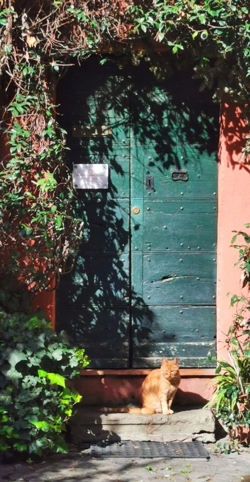 Campo De Fiori Holiday home *