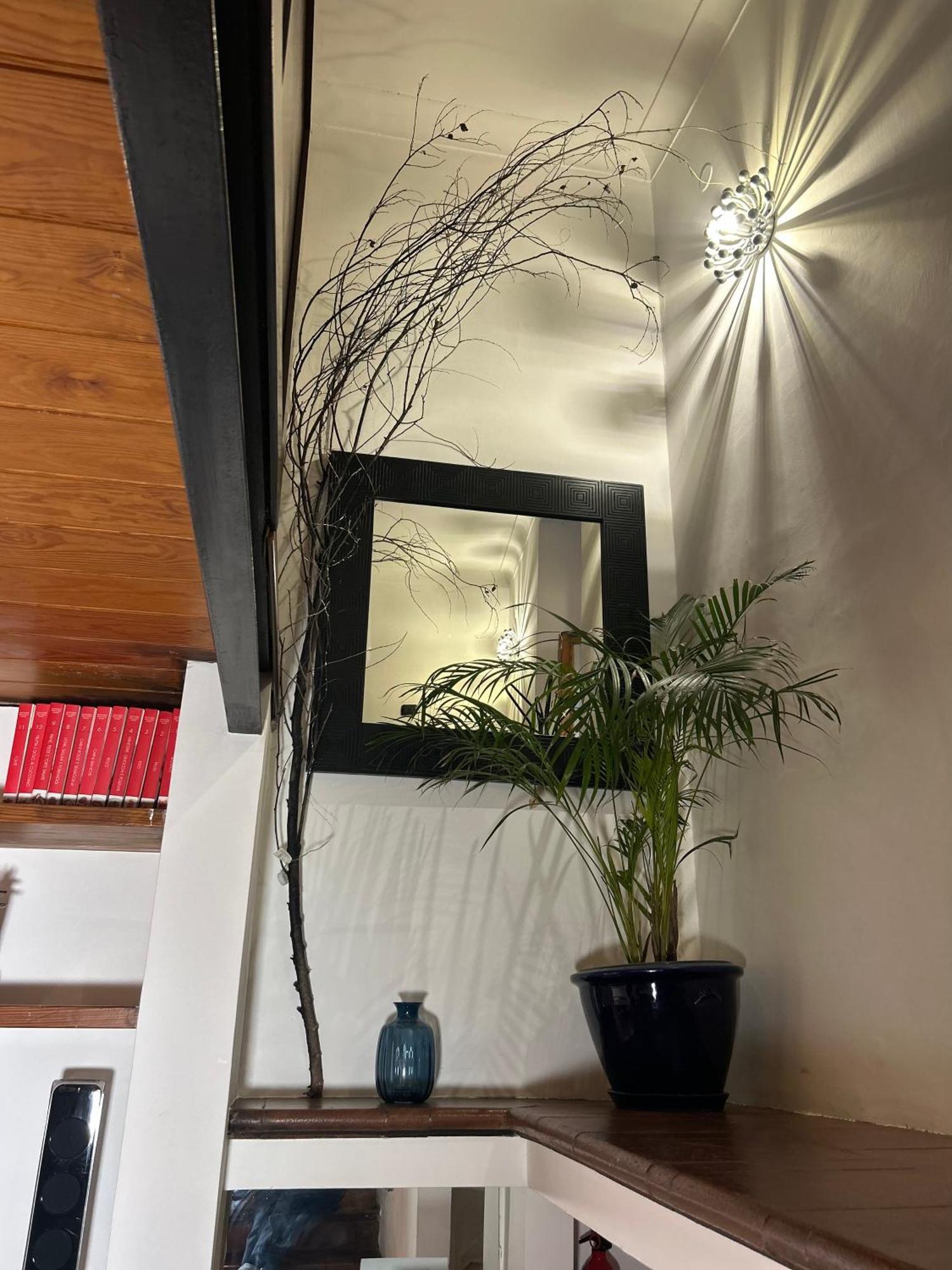 Apartment Garden House Trastevere Rome