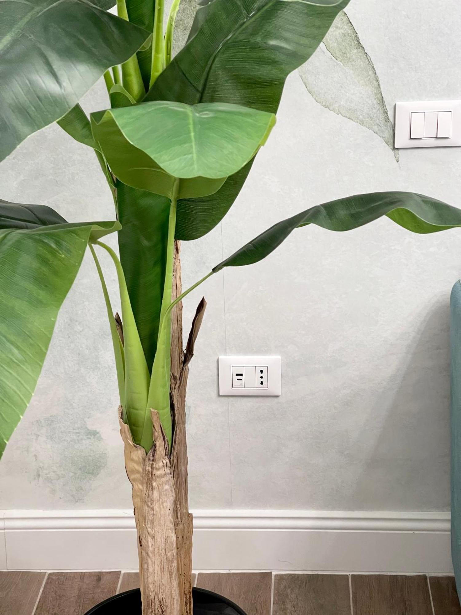Avocado House - Cozy In The Heart Of Apartment Rome