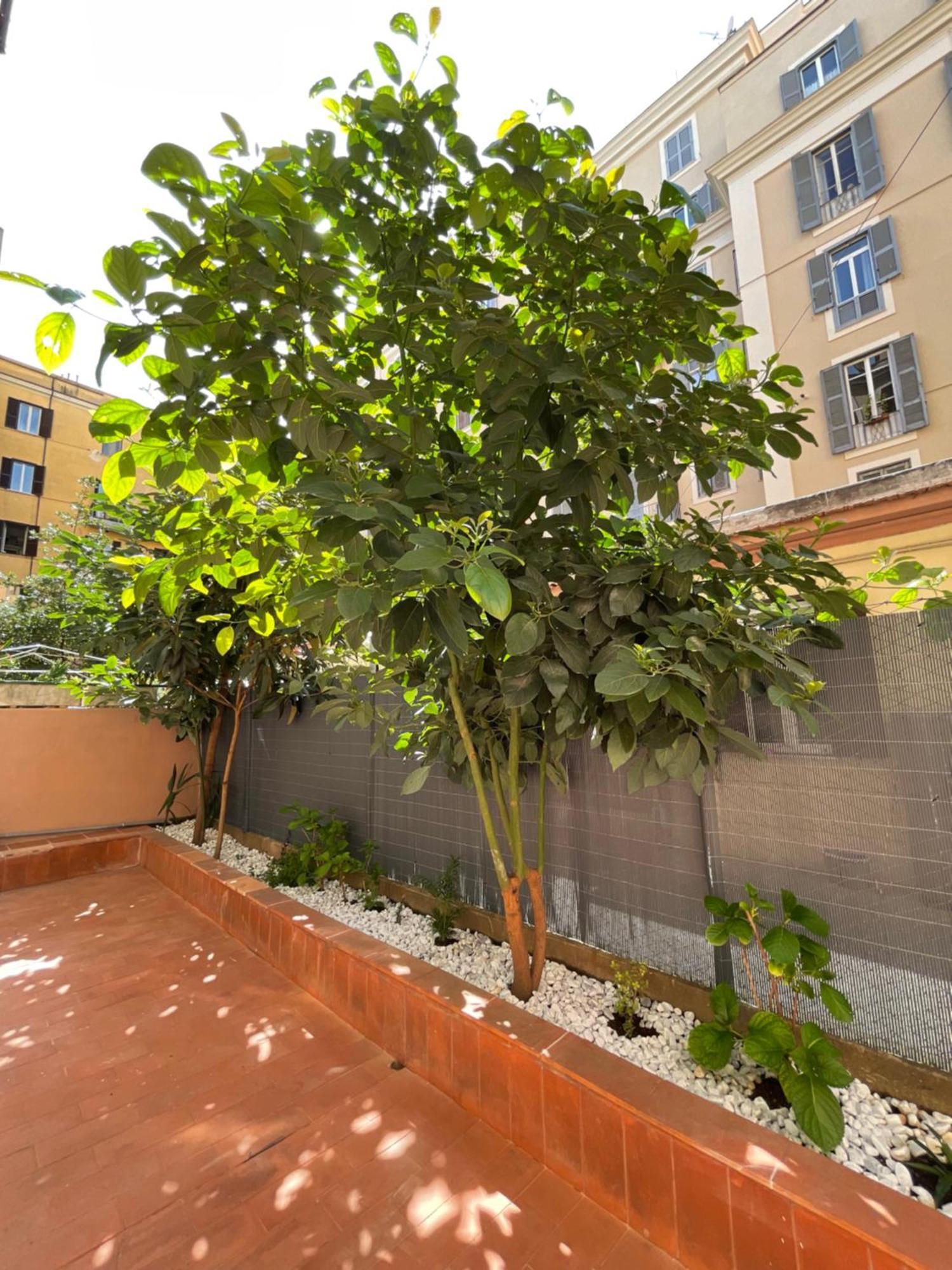Avocado House - Cozy In The Heart Of *