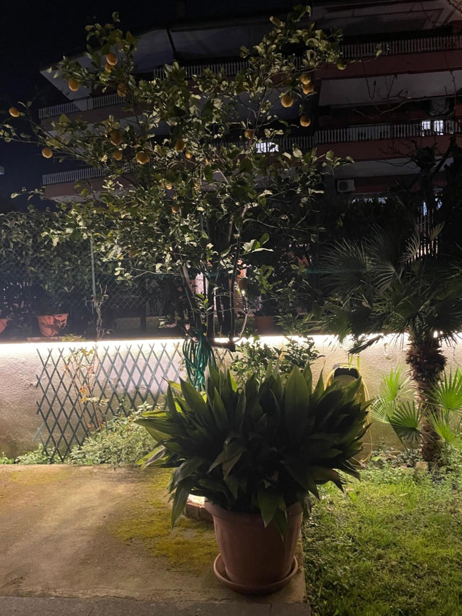 Appartamento Rome Villa