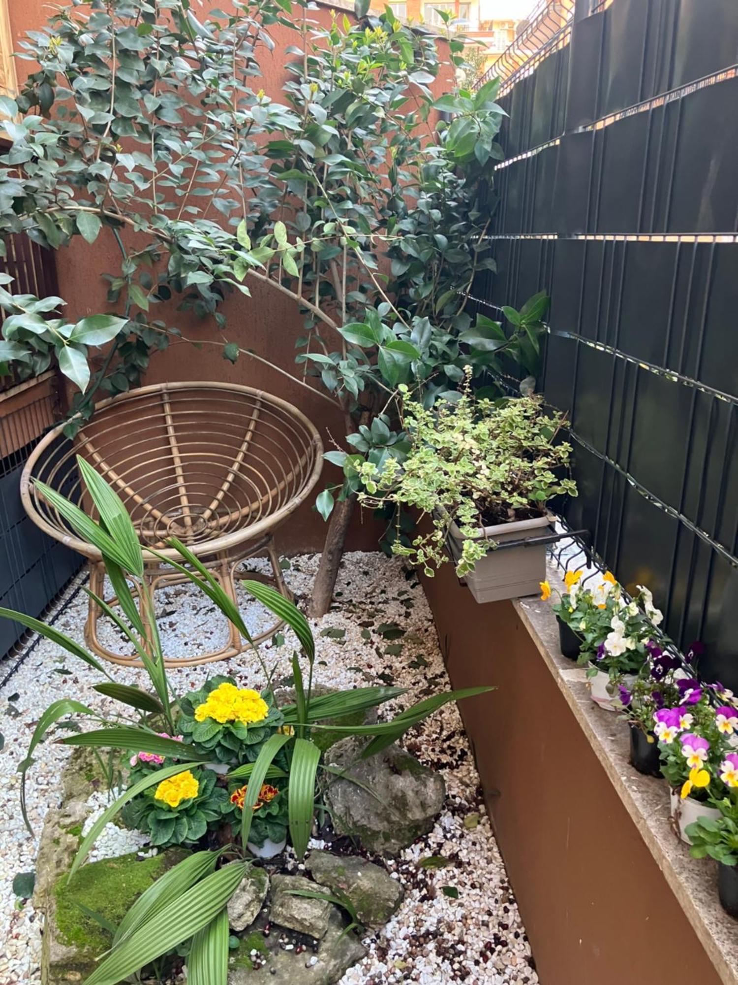 Le Rondini In Giardino Apartment Rome