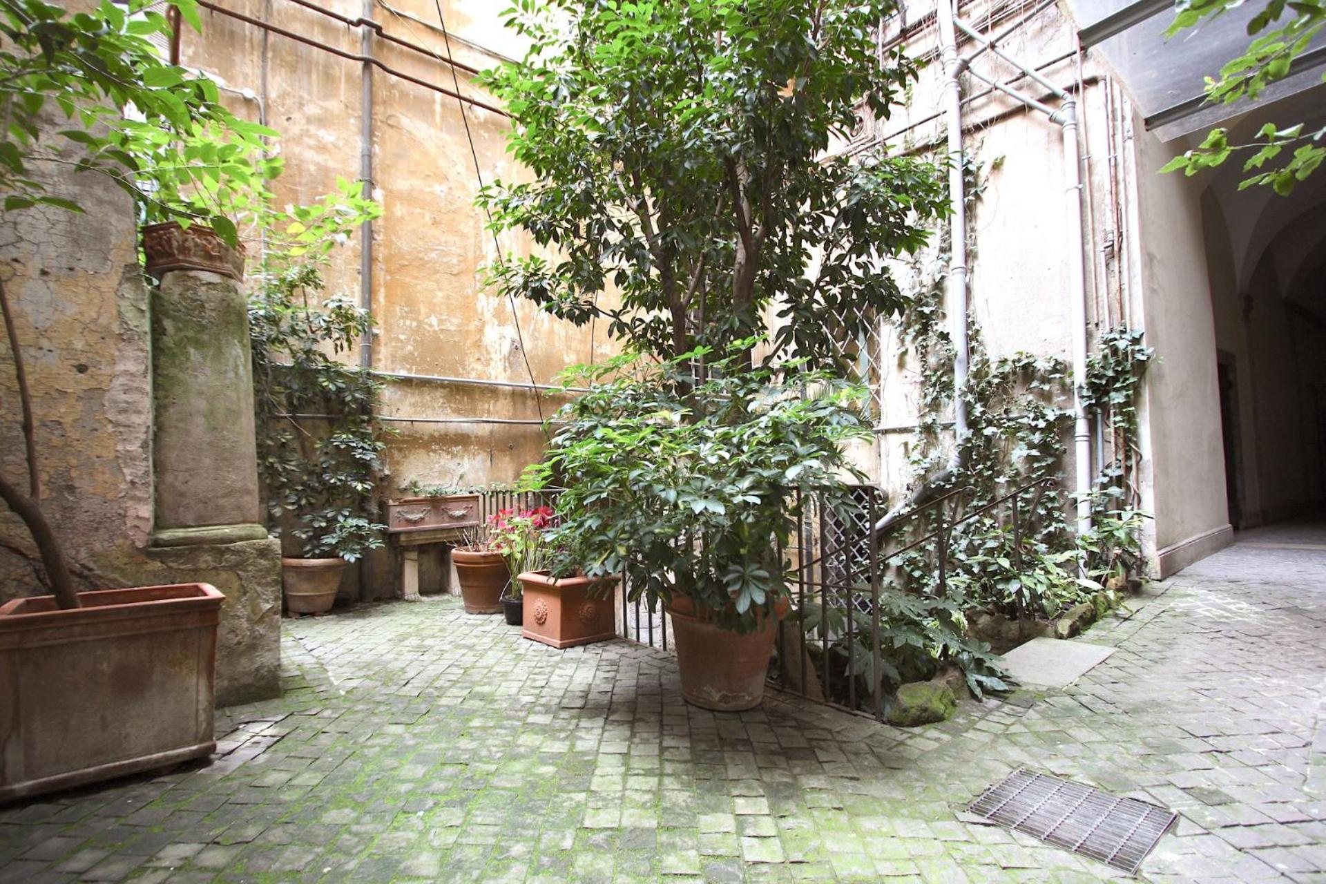 Navona Opera House