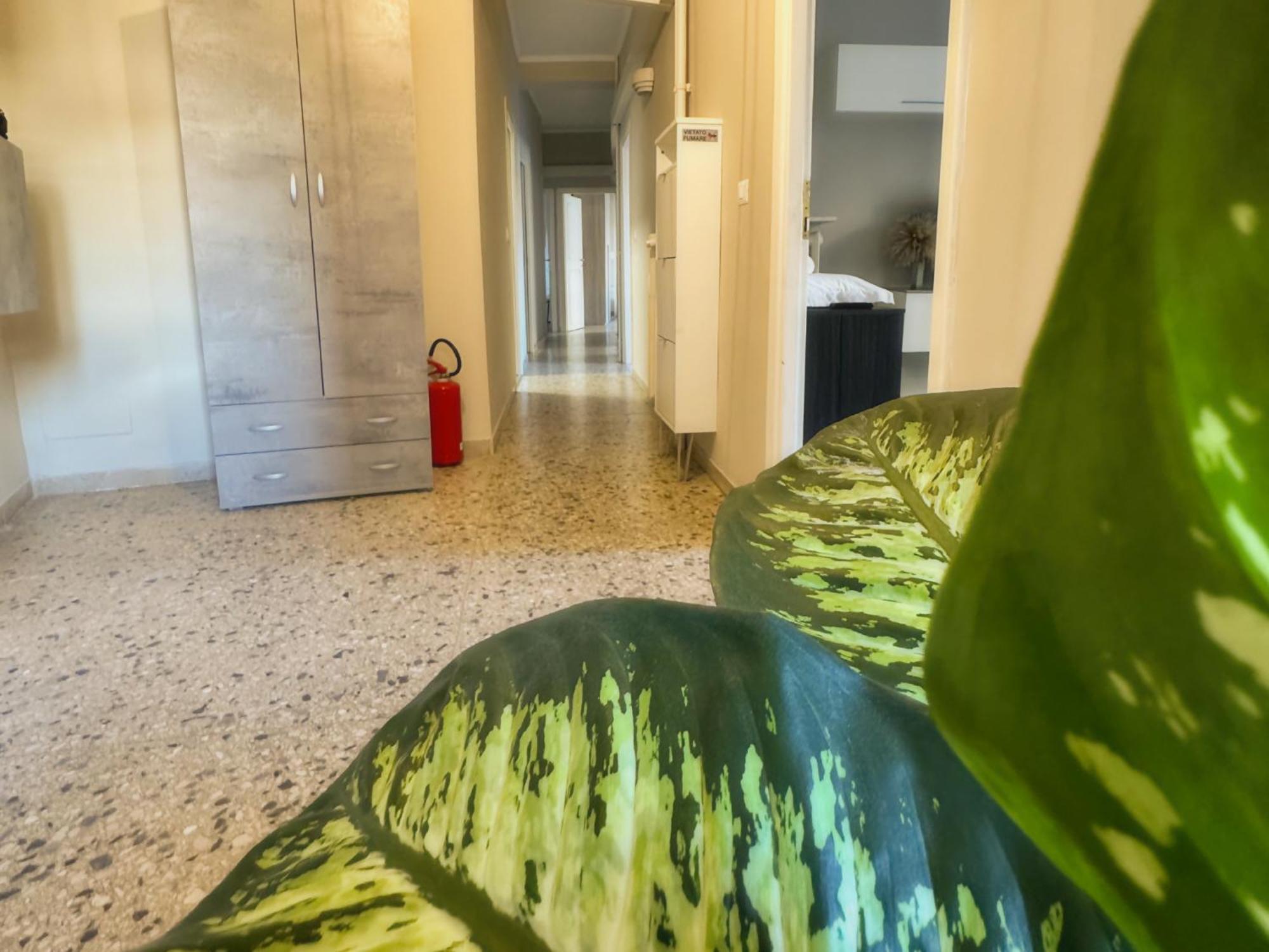 Apartment Orpi Rent Vaticano Rome