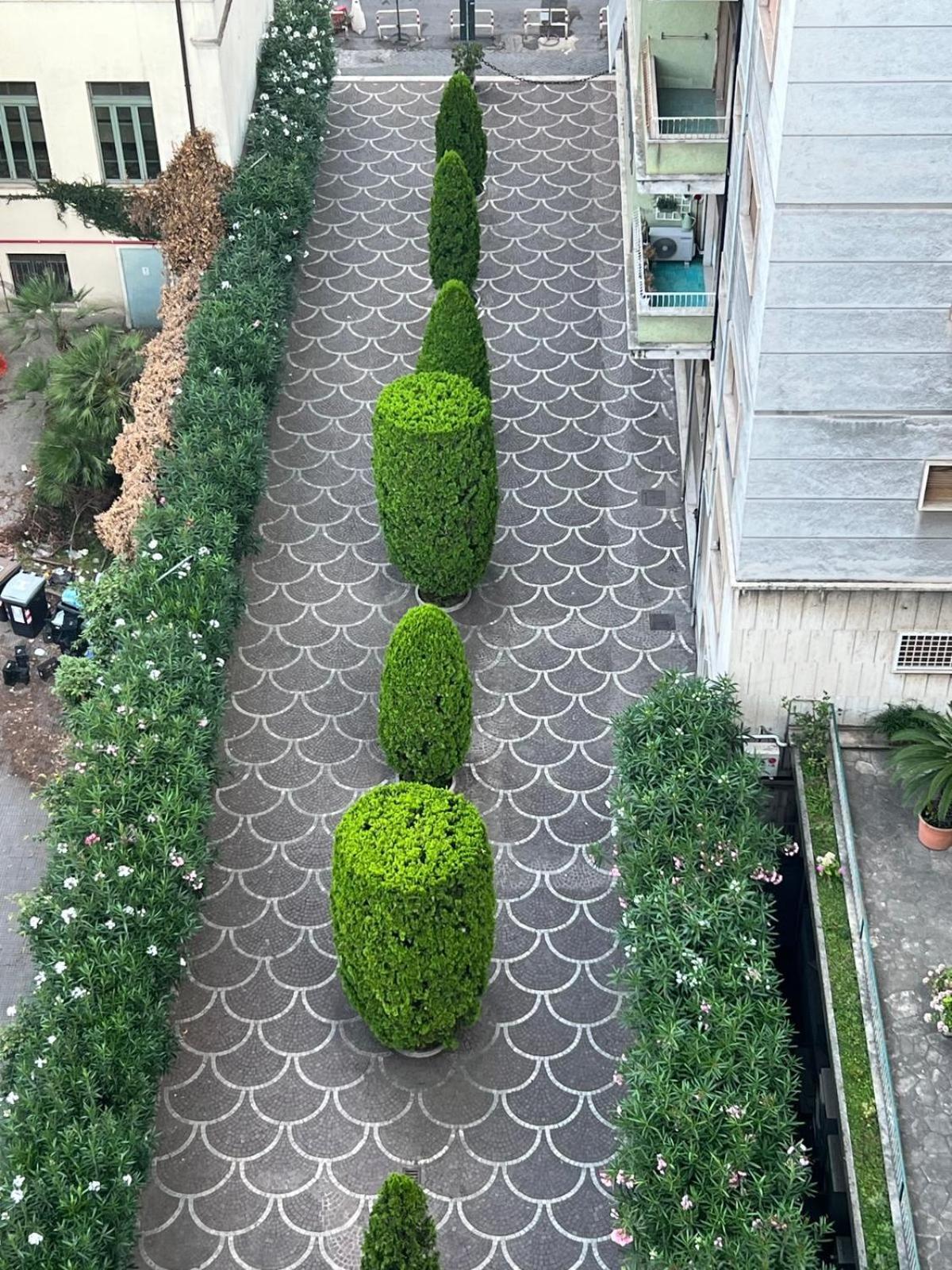 Apartment Luce, Silenzio Ed Eleganza Nel Cuore Di Rome