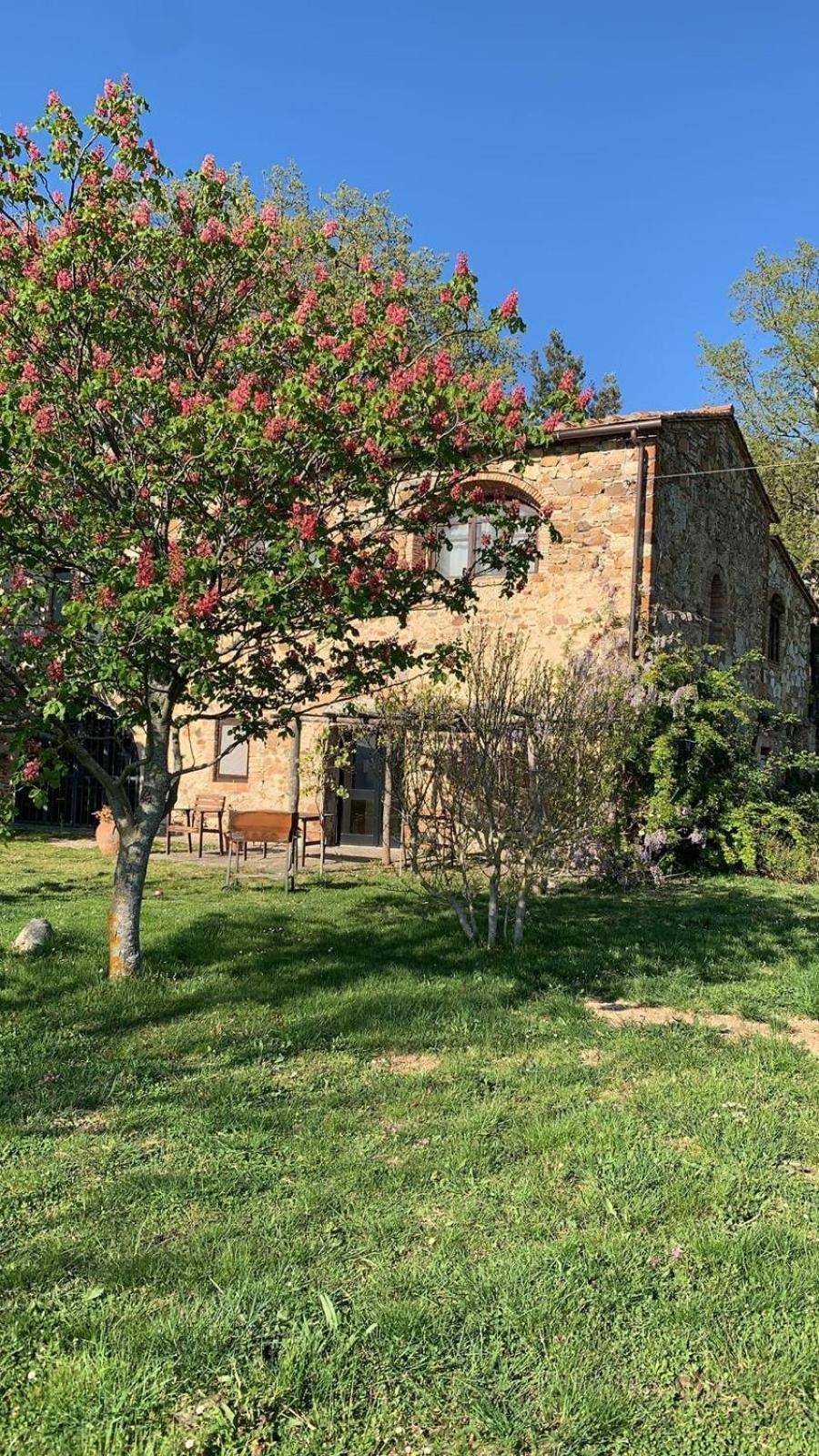 Podere Bellavista Holiday home