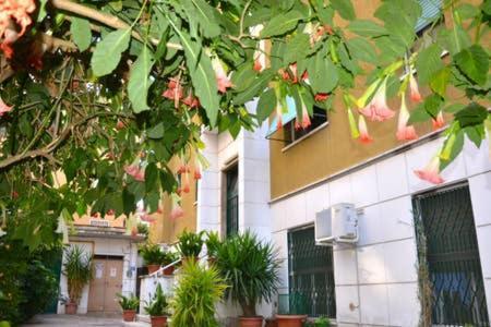 Holy Vatican Holiday home
